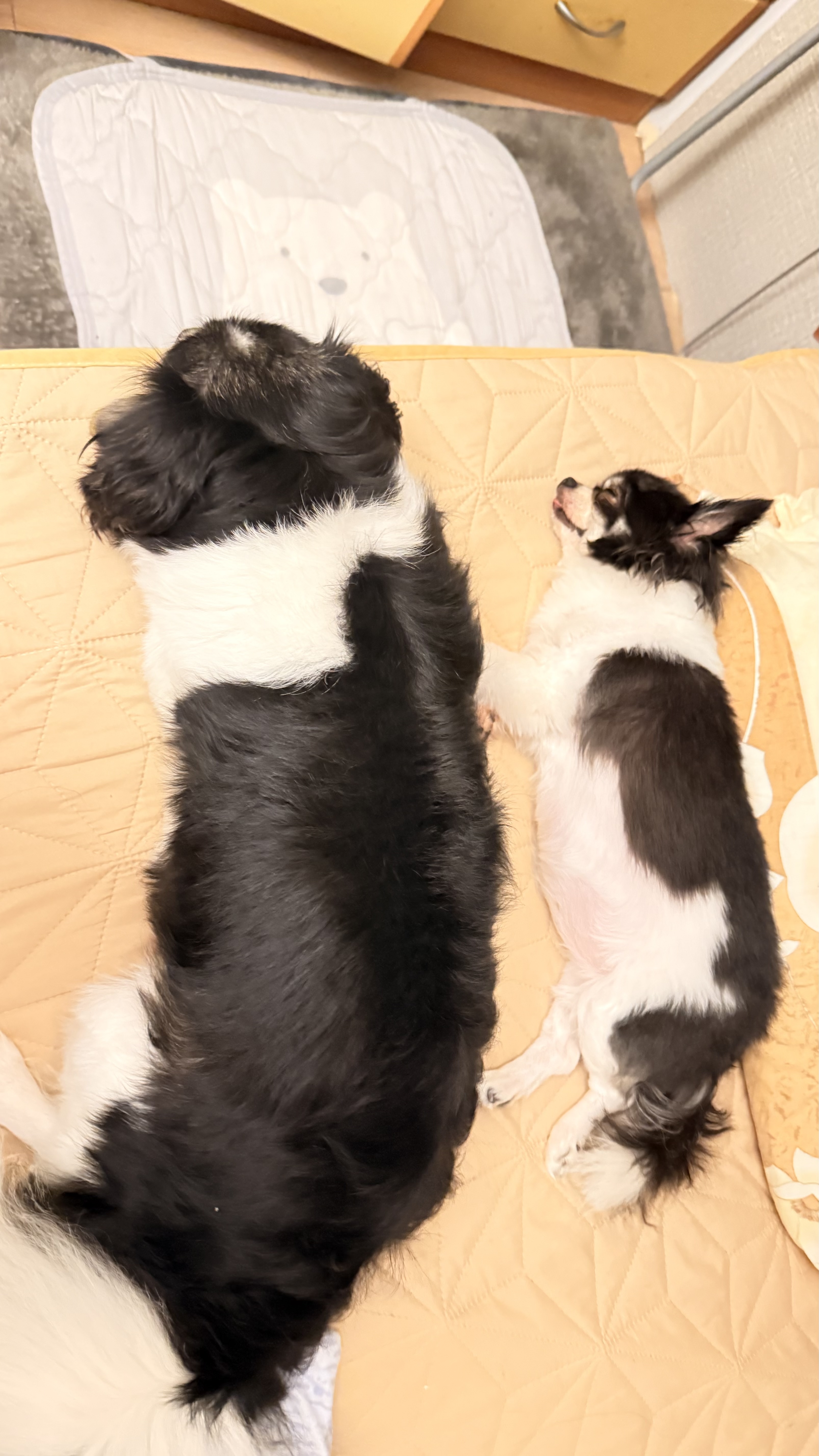 image-9