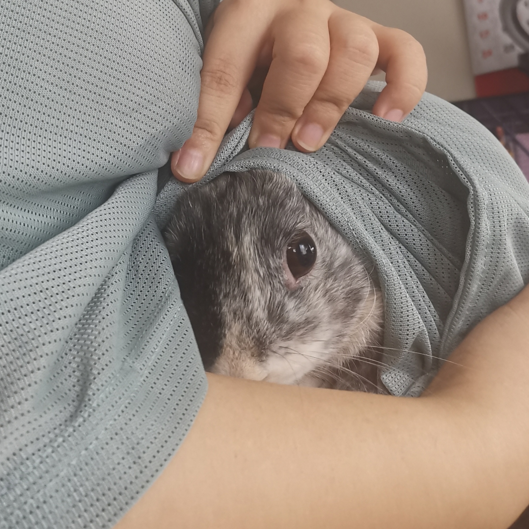 Sesame 