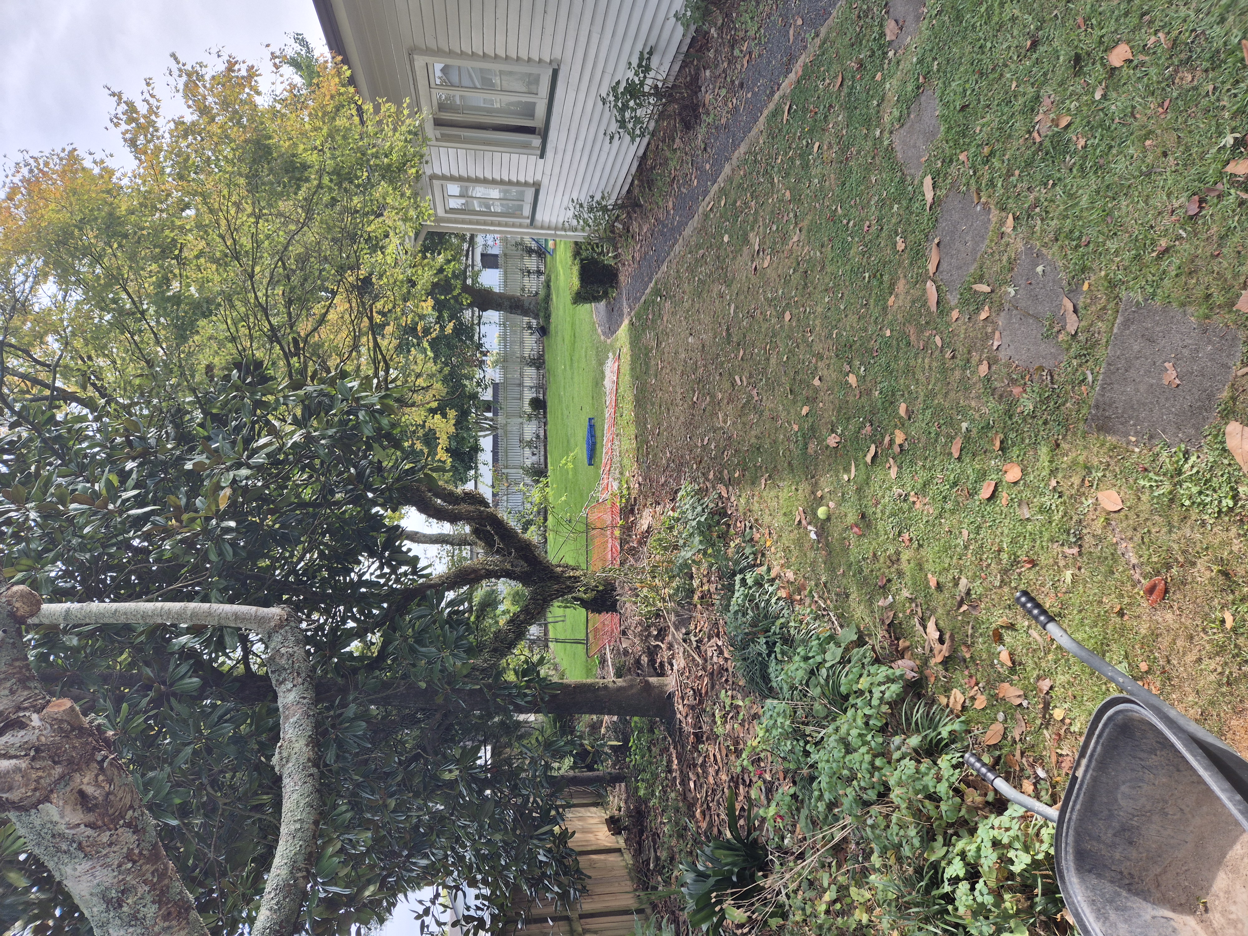 image-16