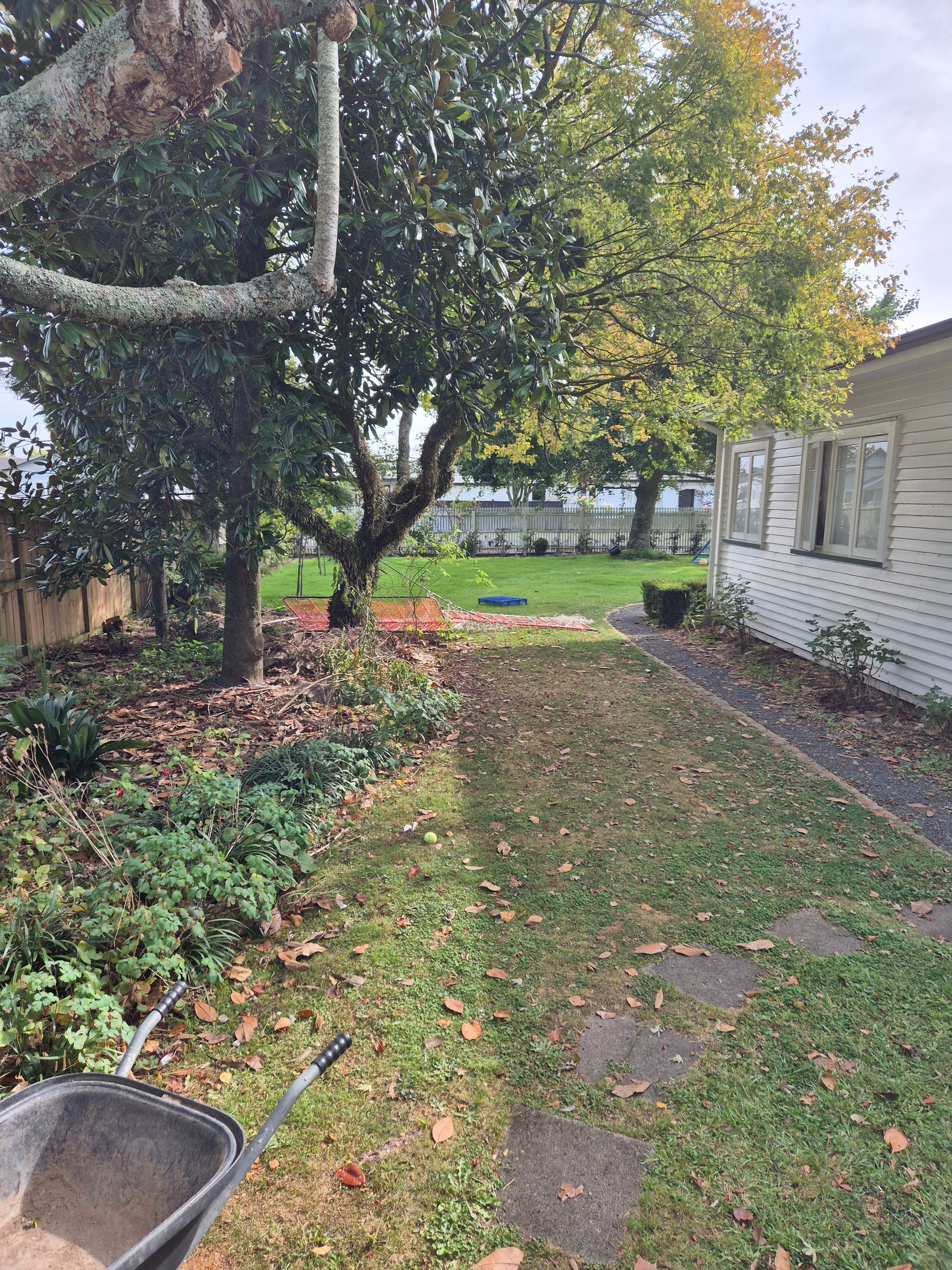 image-16