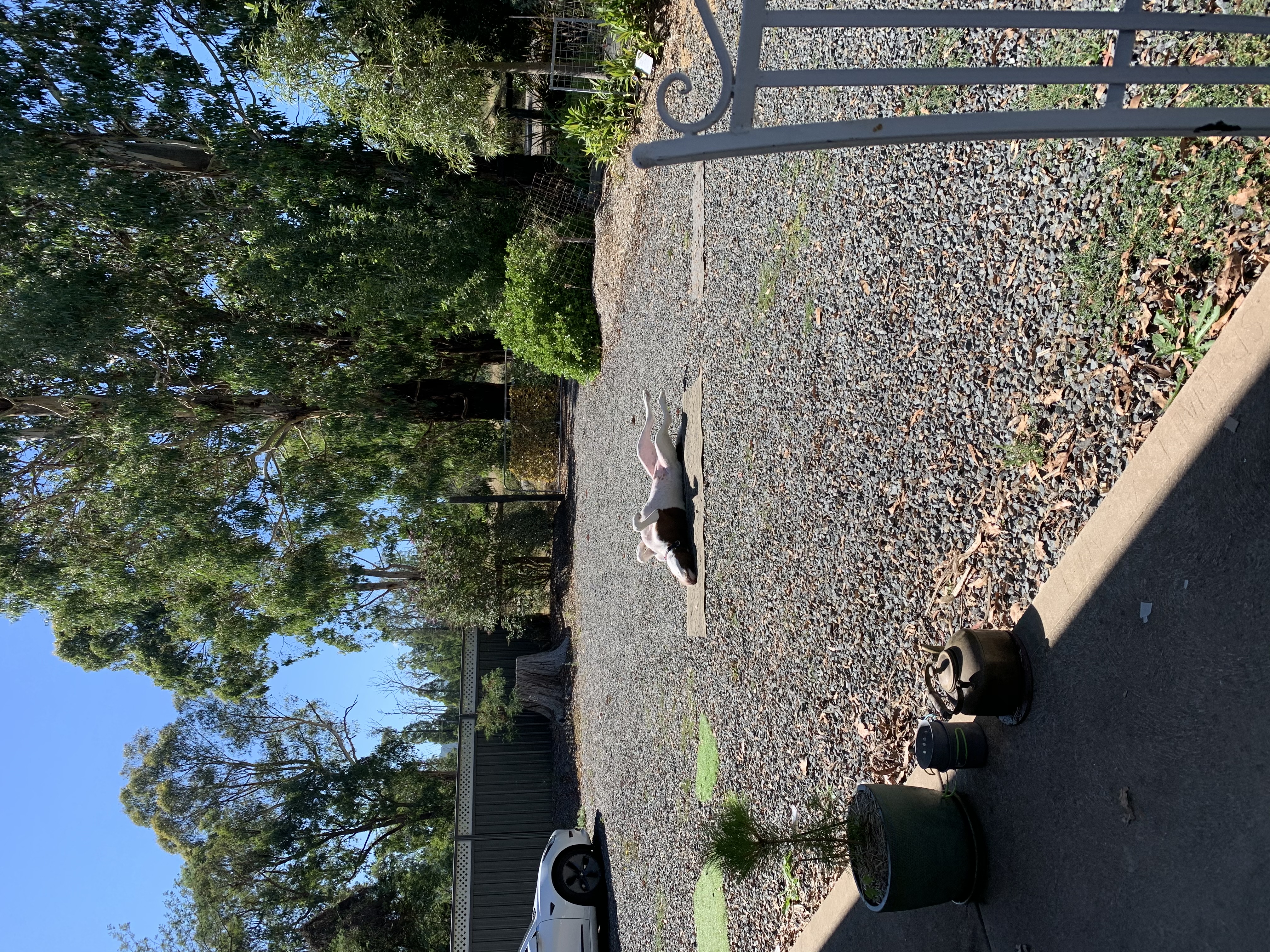 image-11