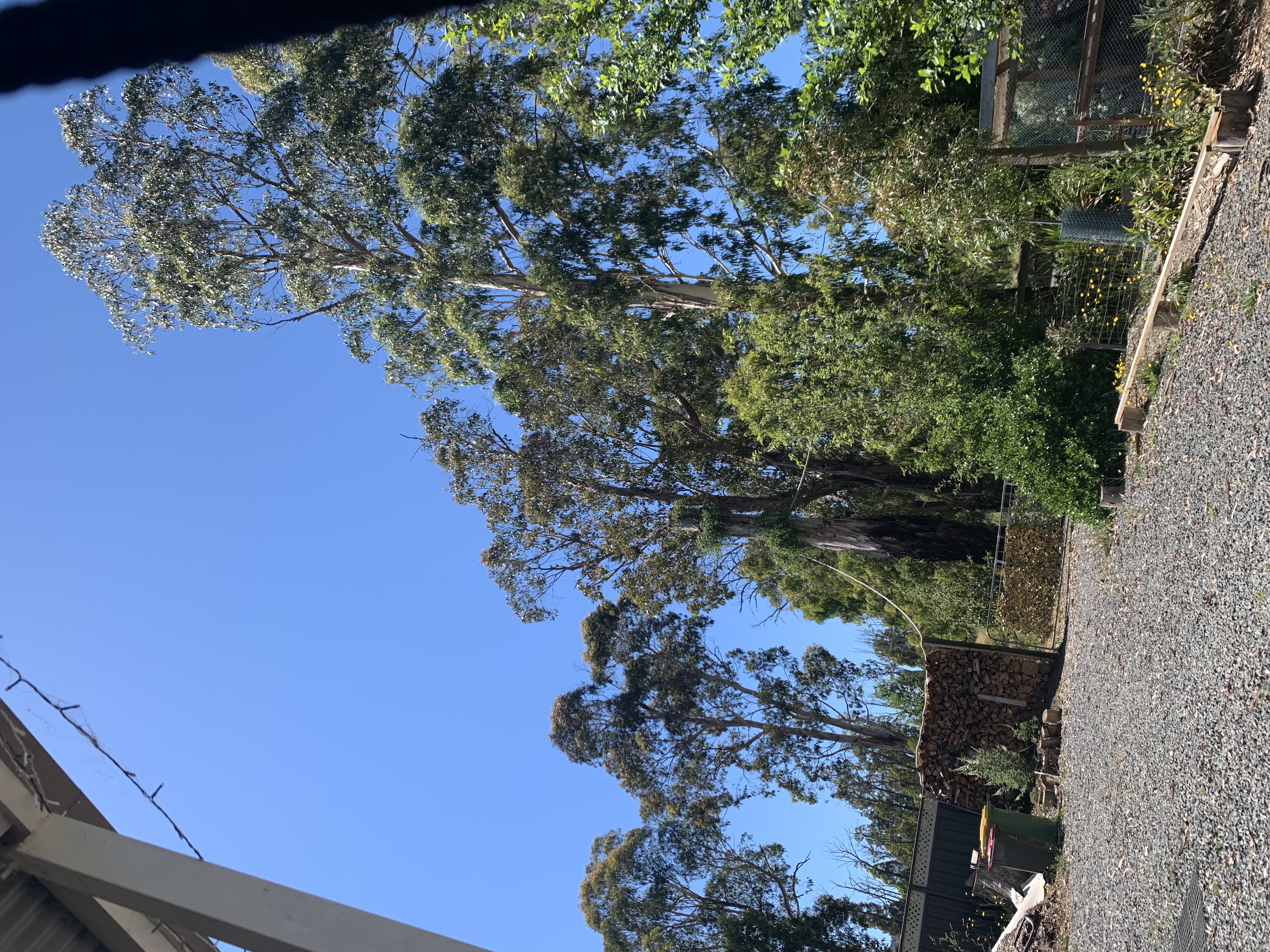 image-14