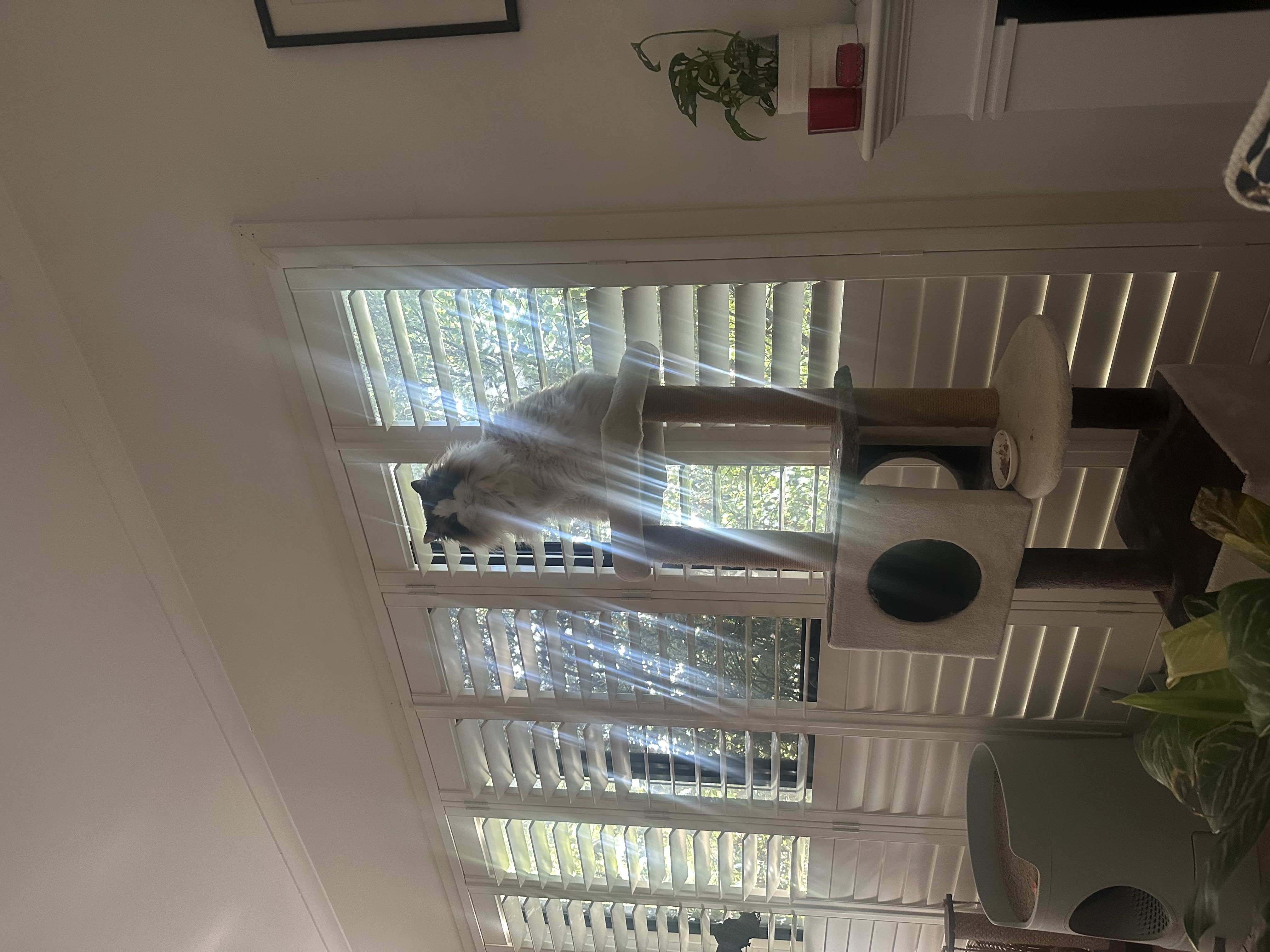 image-7