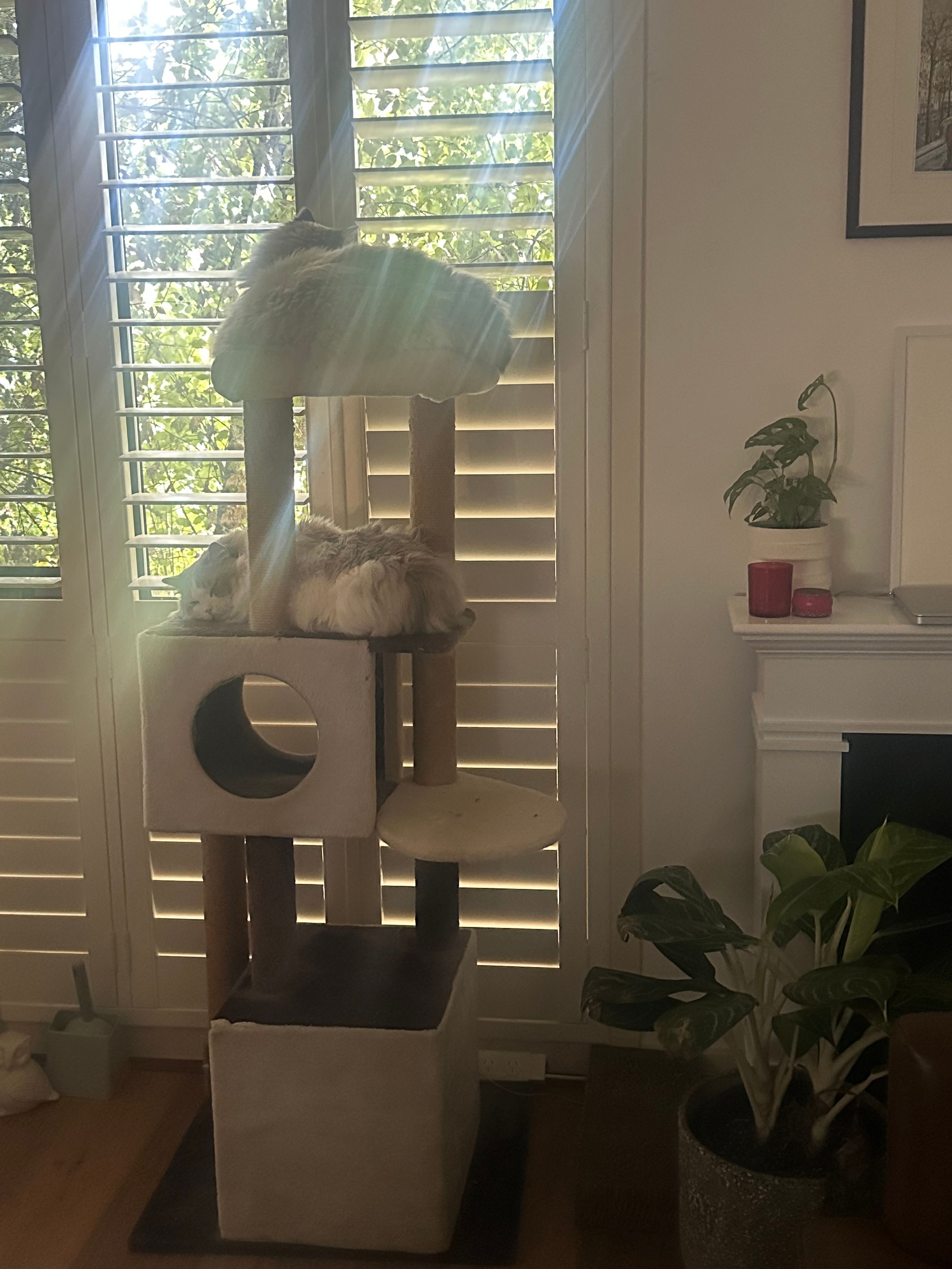 image-13