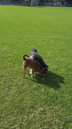 image-32