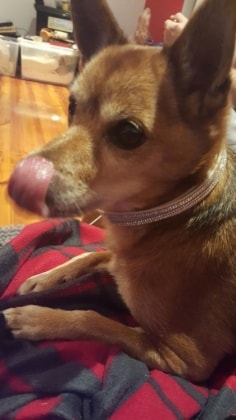 image-8