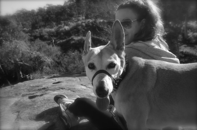 image-0