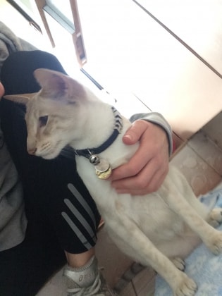 image-3