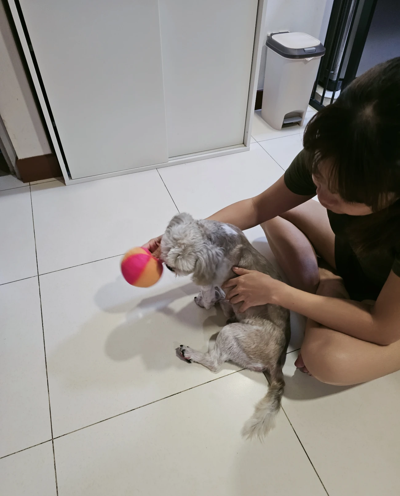 image-11