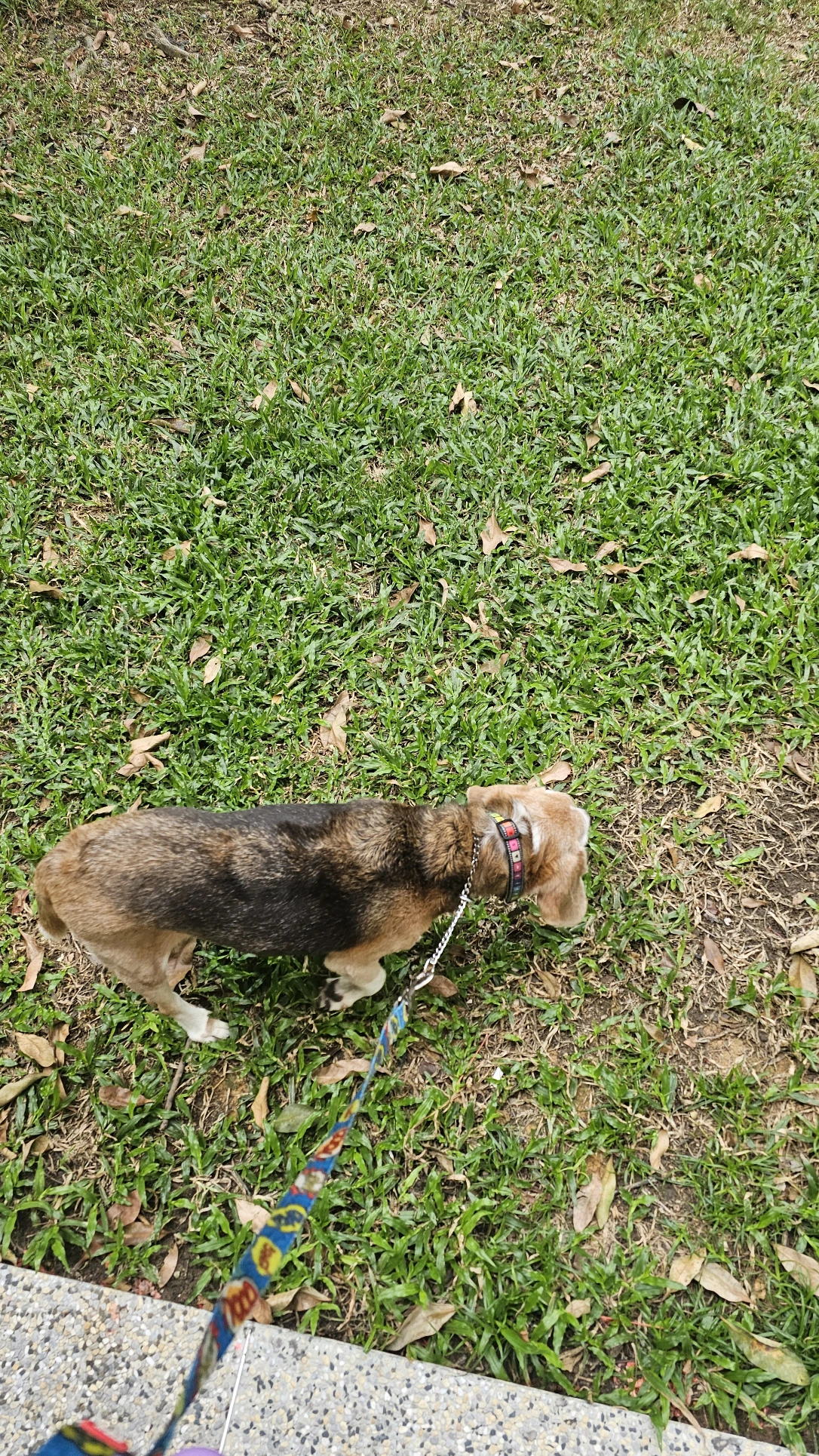 image-8