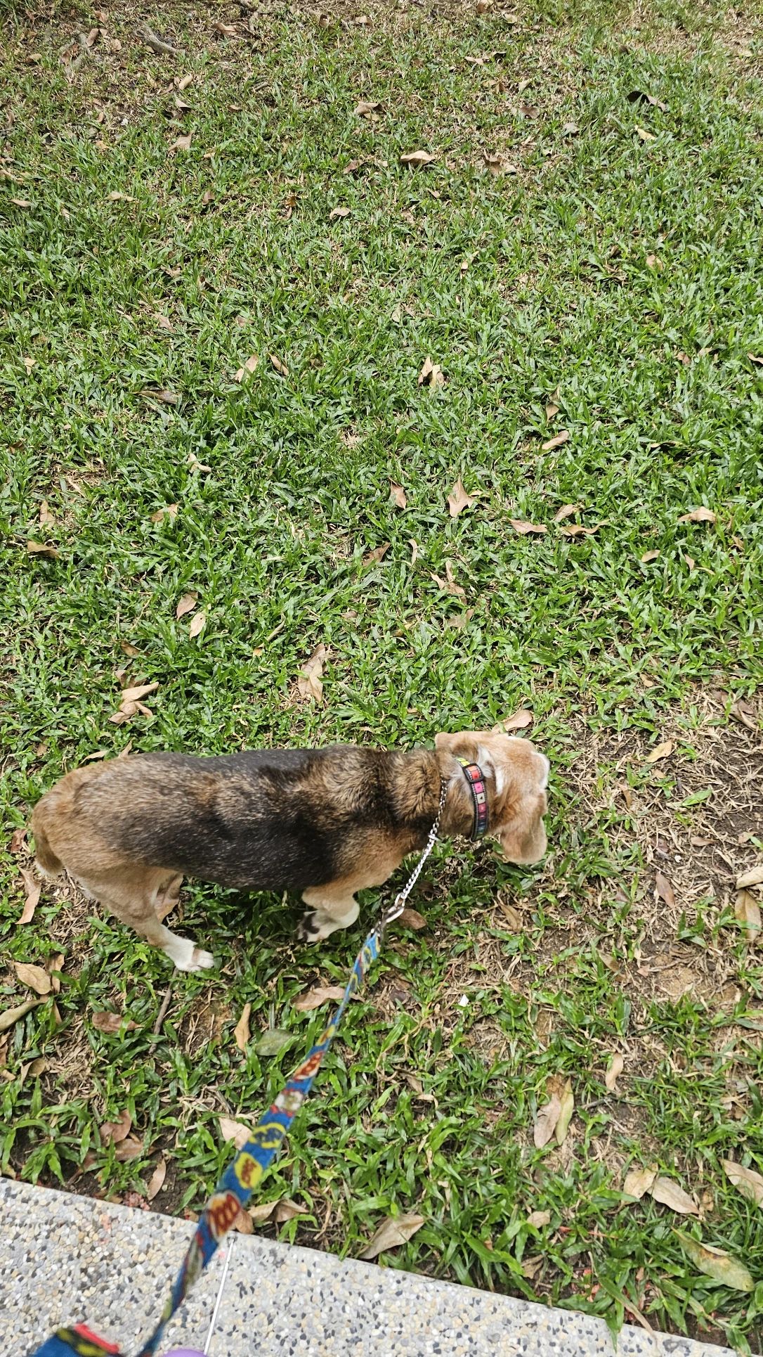 image-8