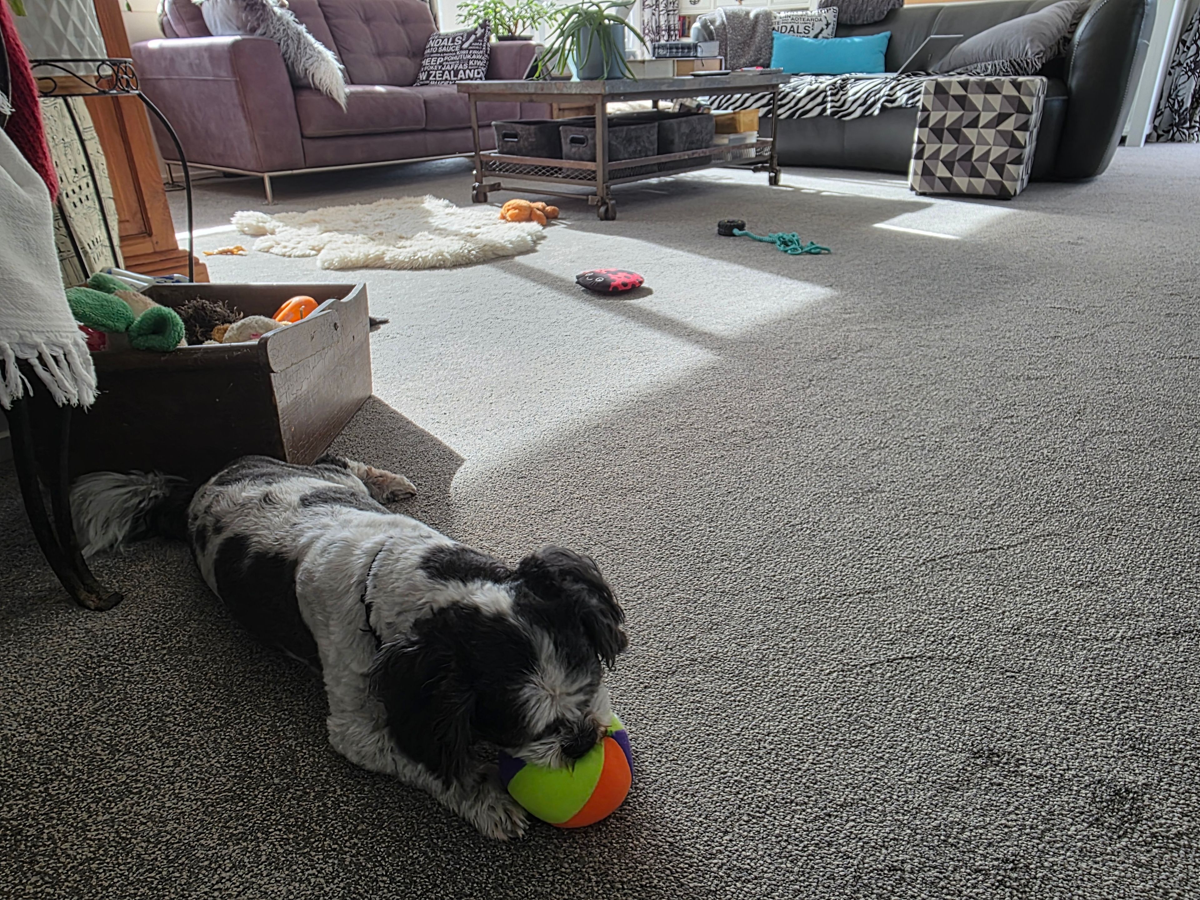 image-13