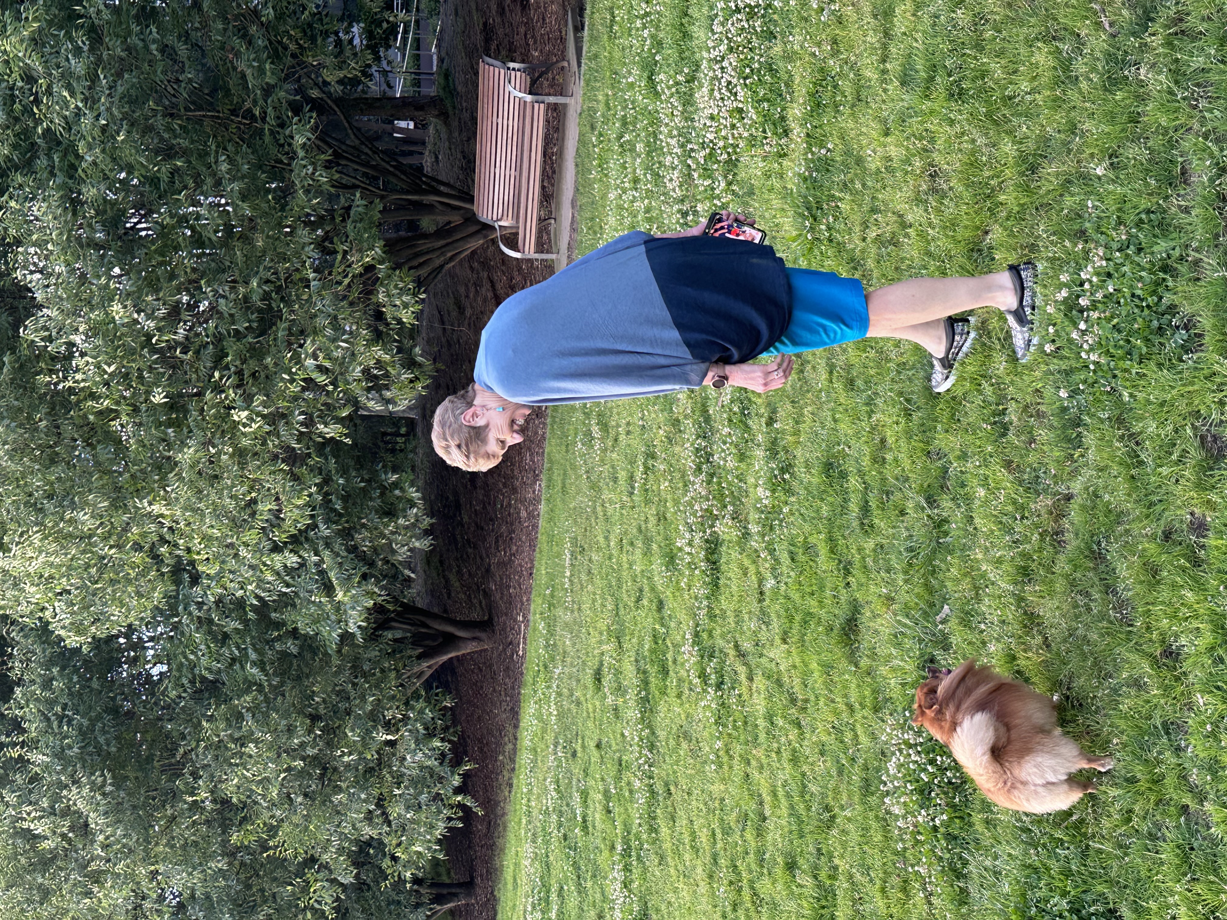 image-3
