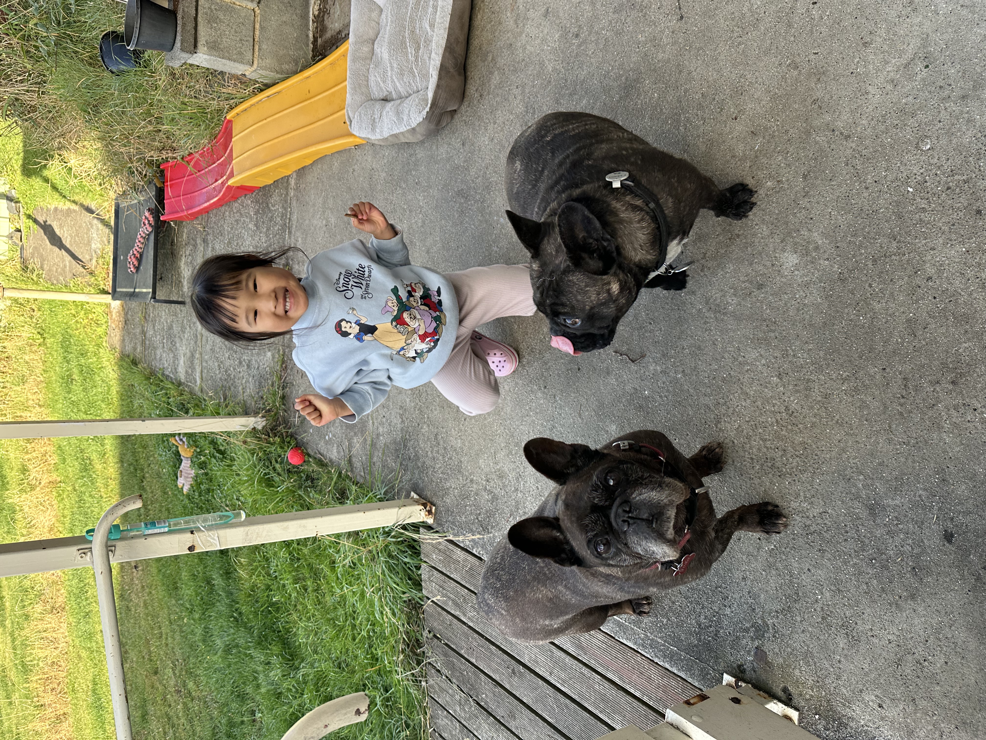 image-7