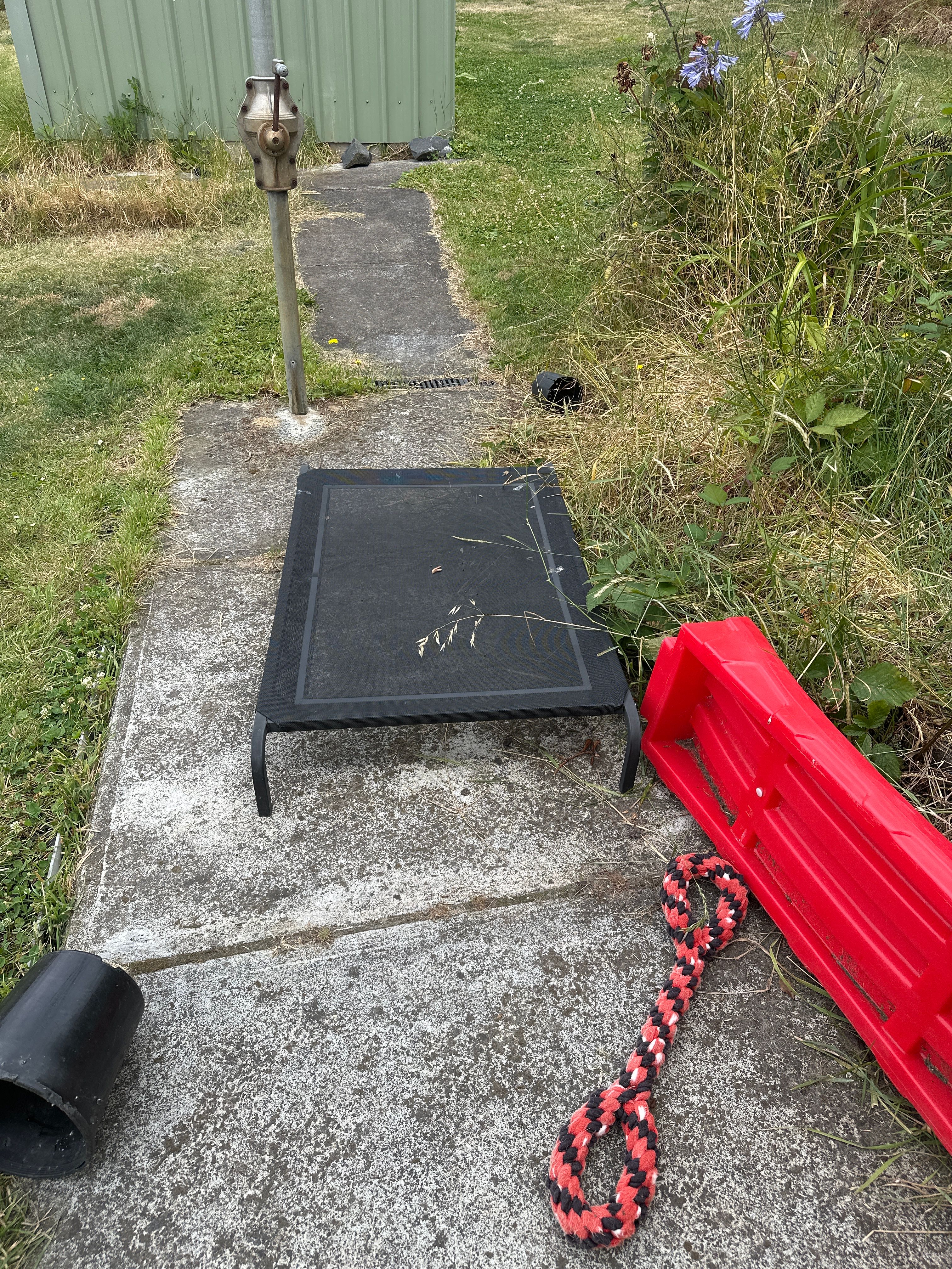image-20