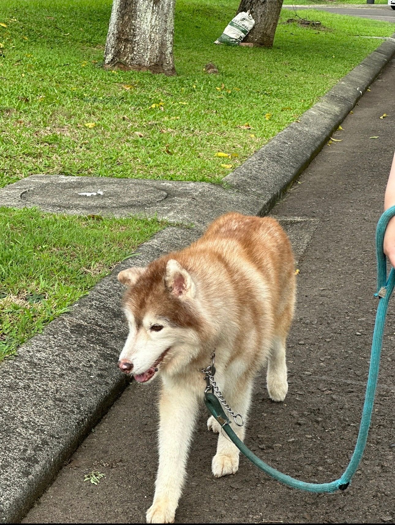 image-15
