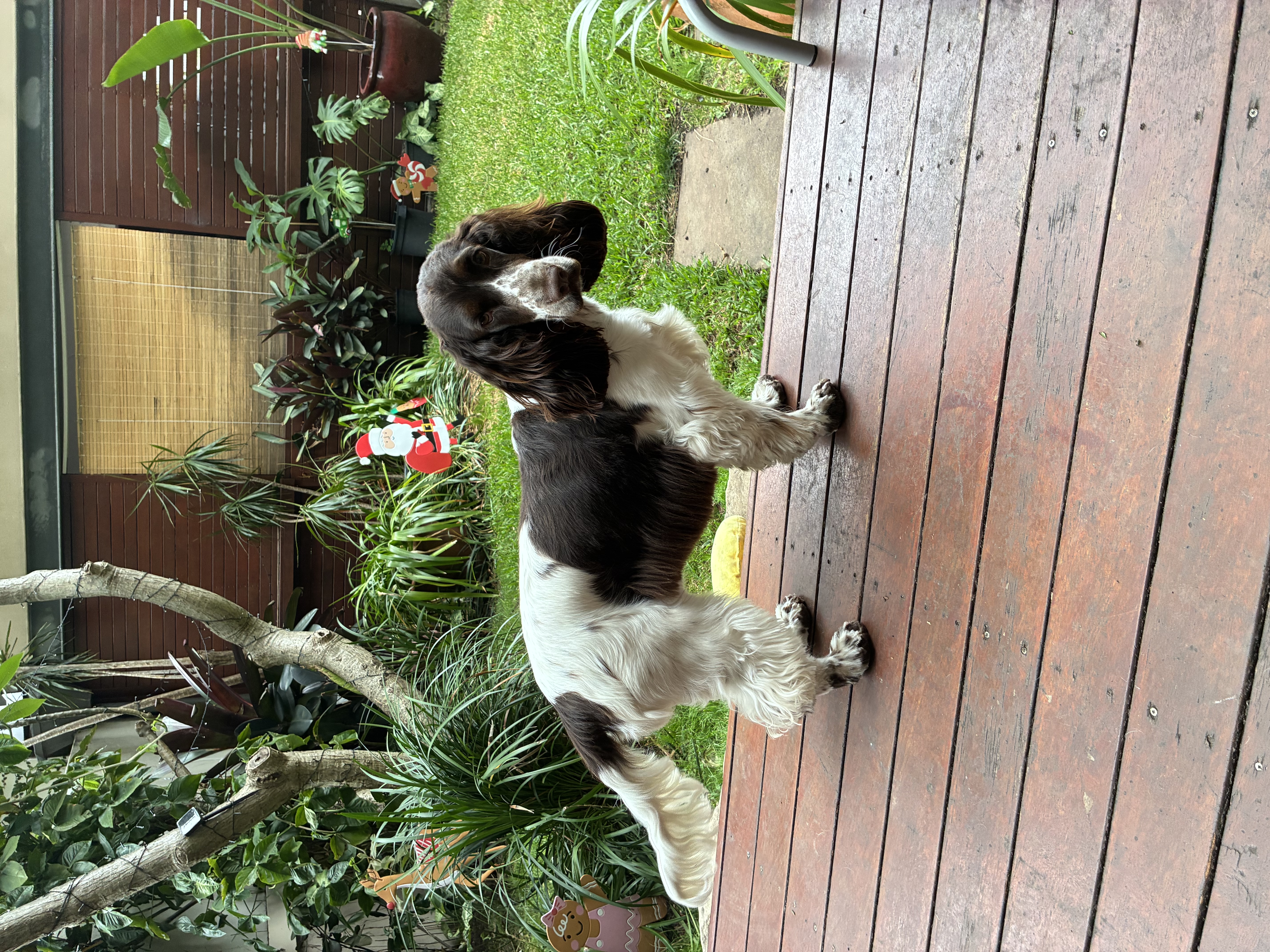 image-14