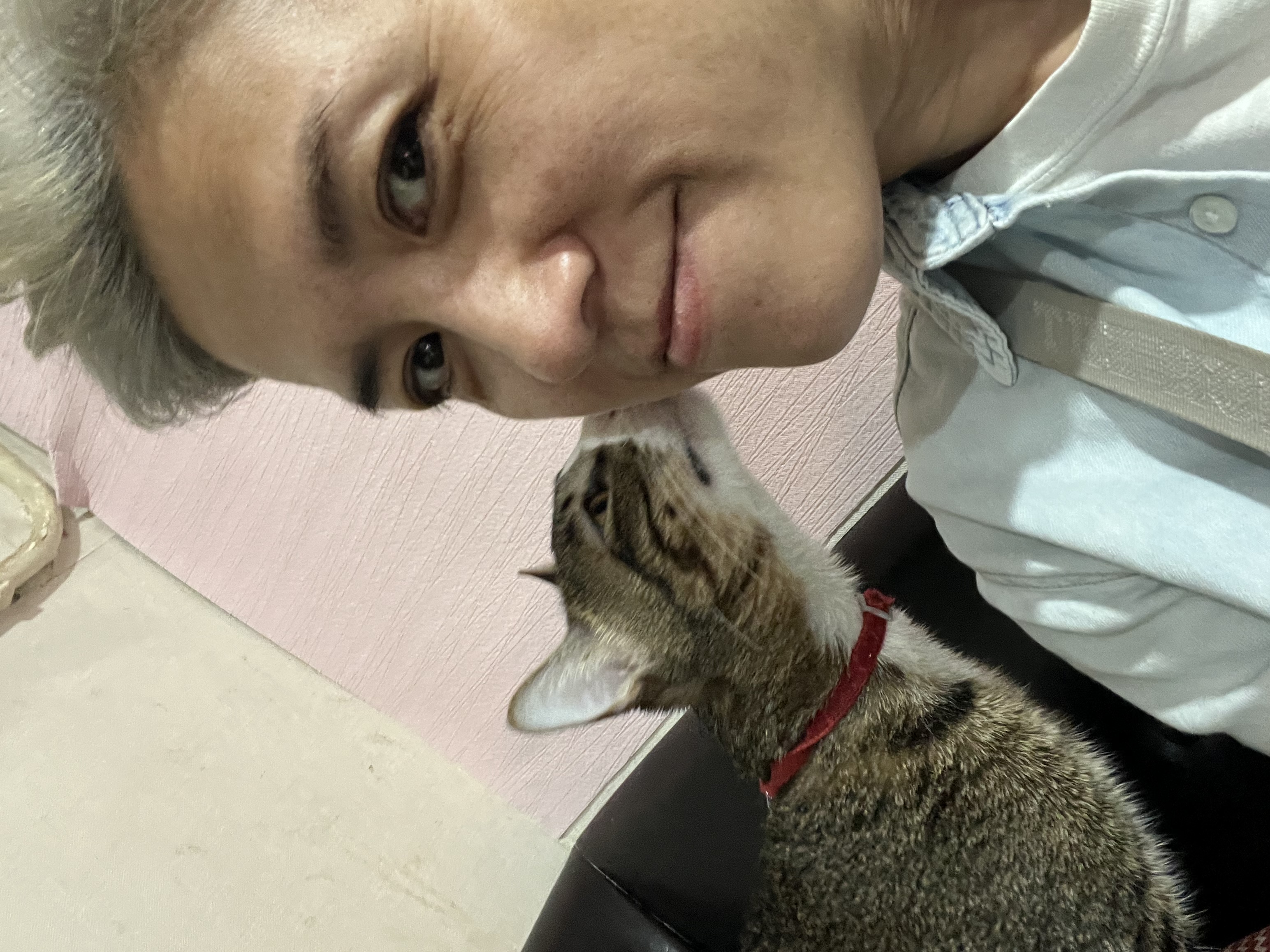 image-7
