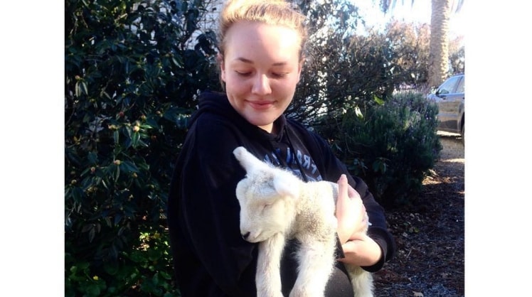 image-2