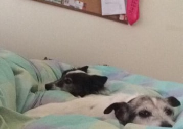 Rosie & Milo