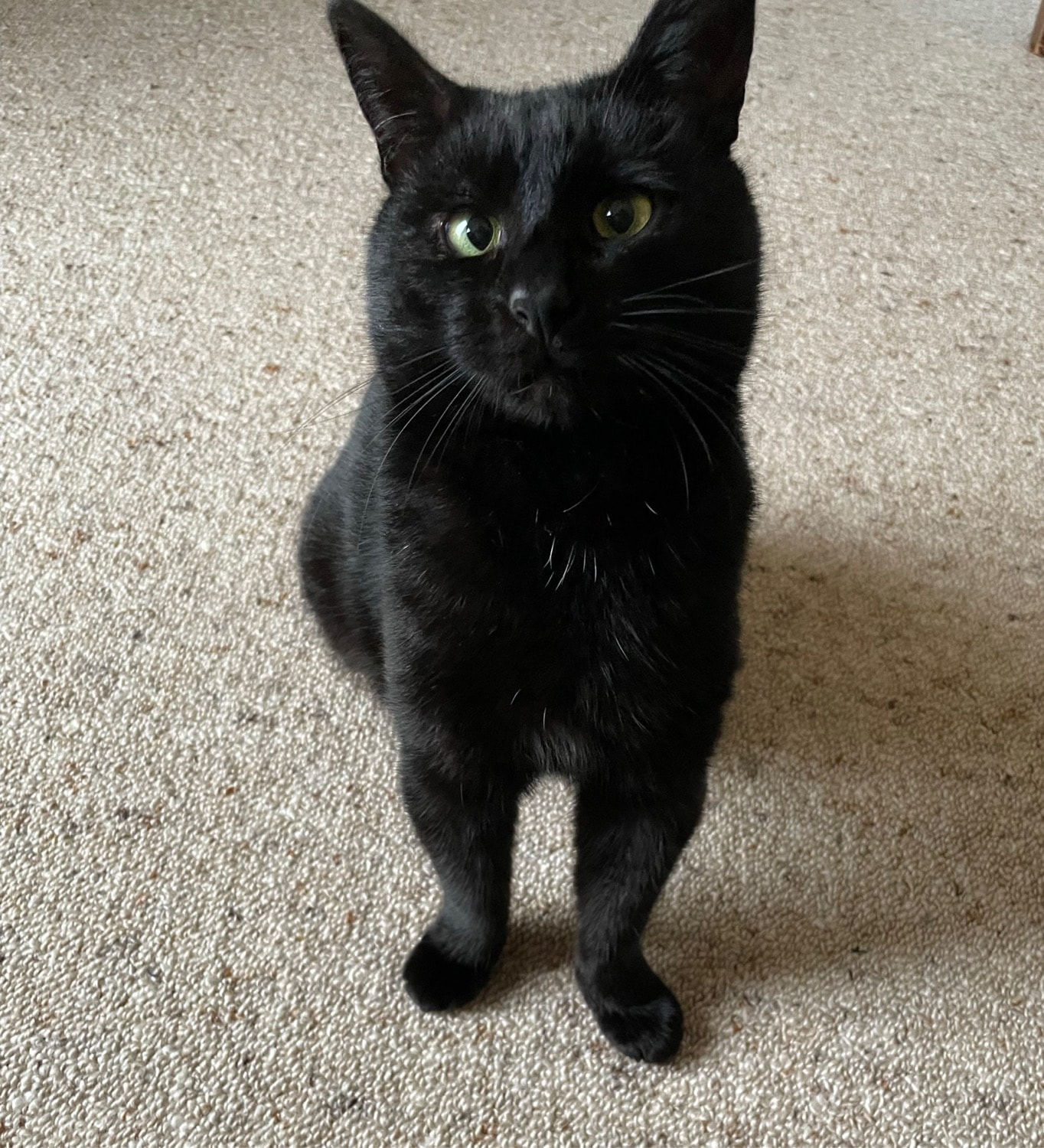 Keanu 