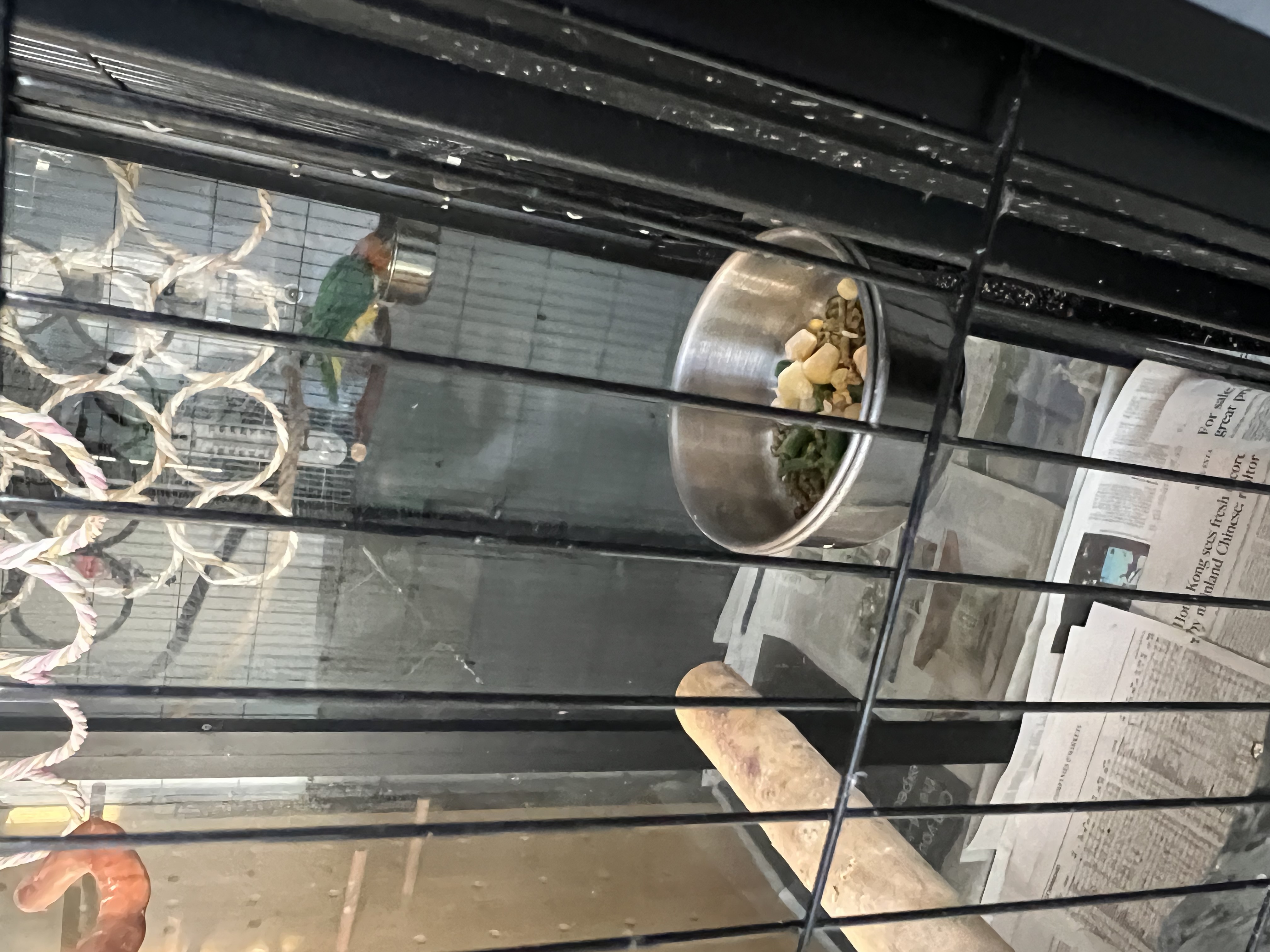image-3