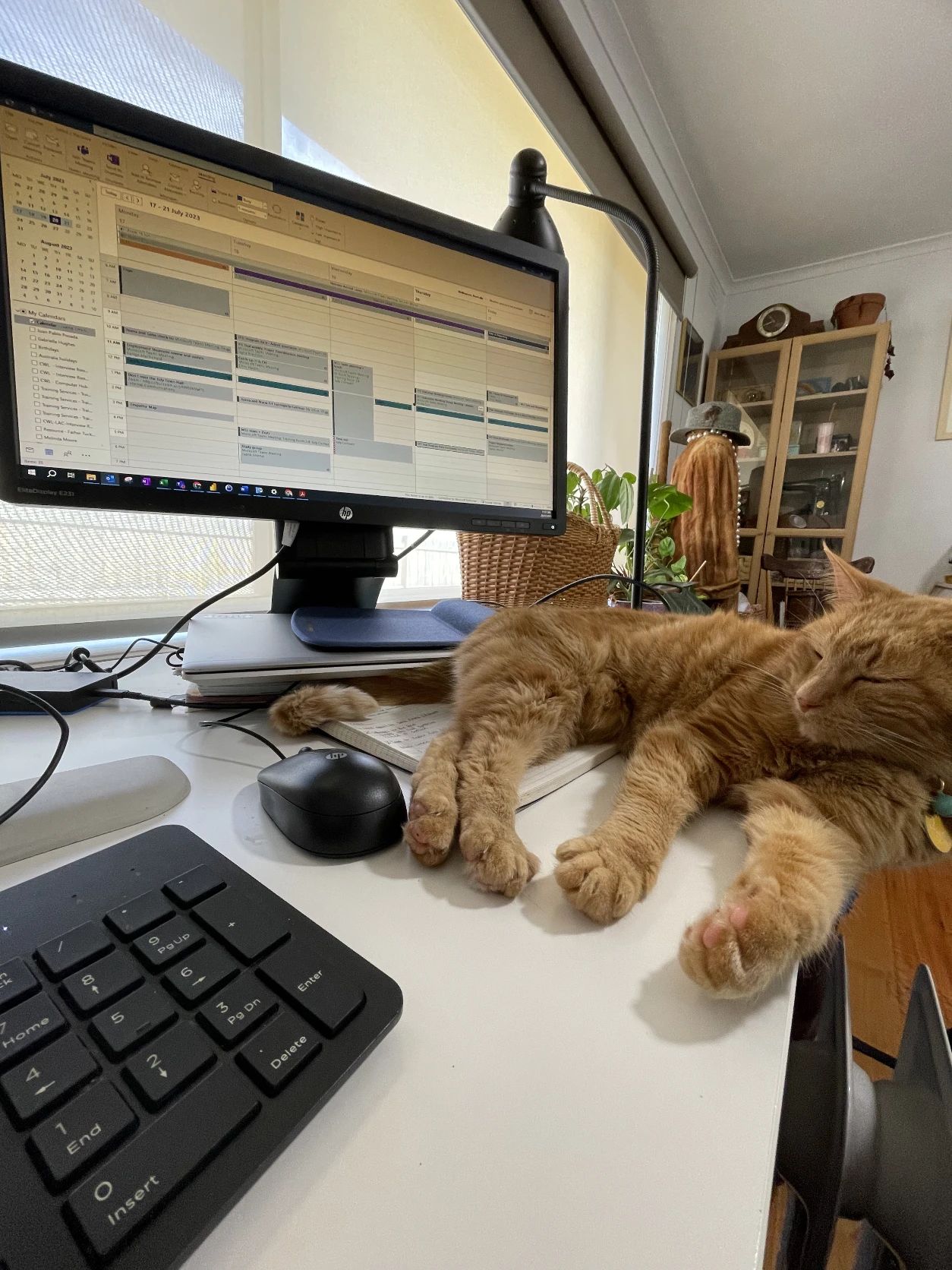 image-13