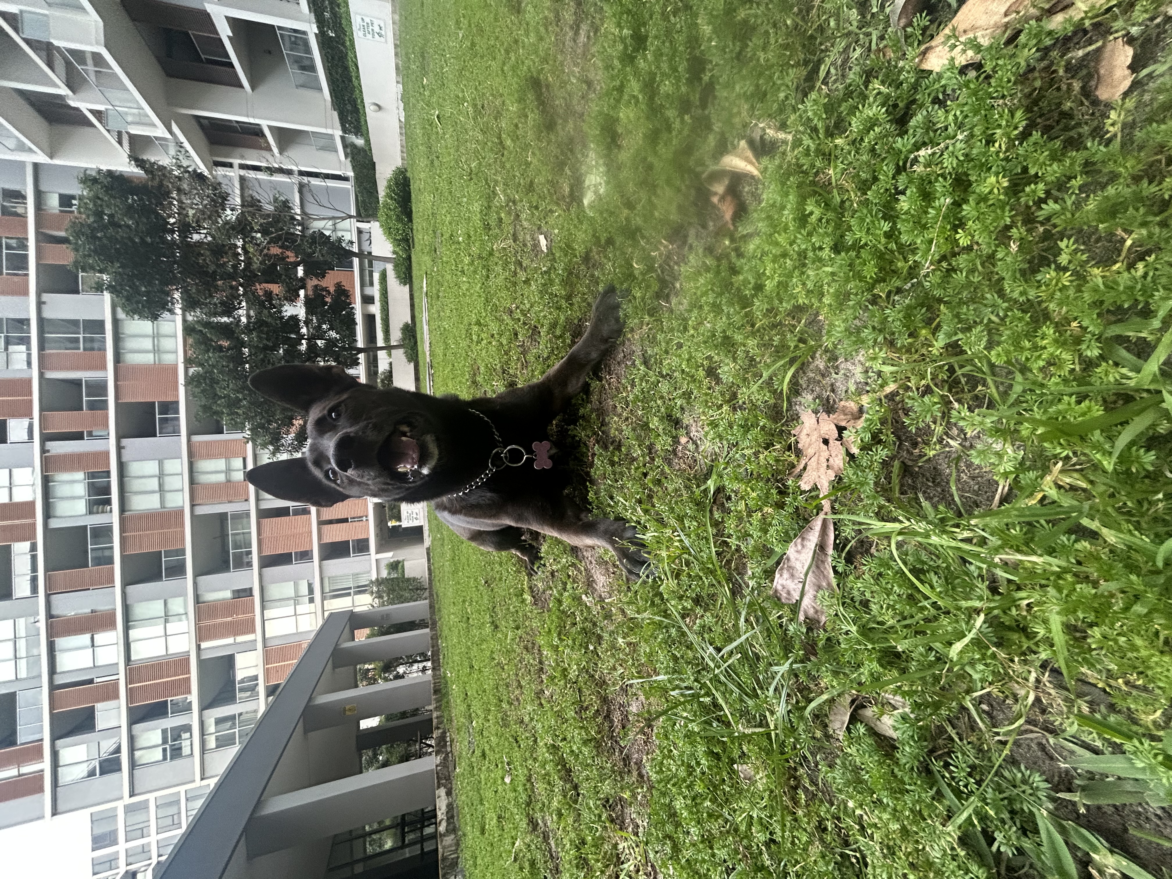 image-18