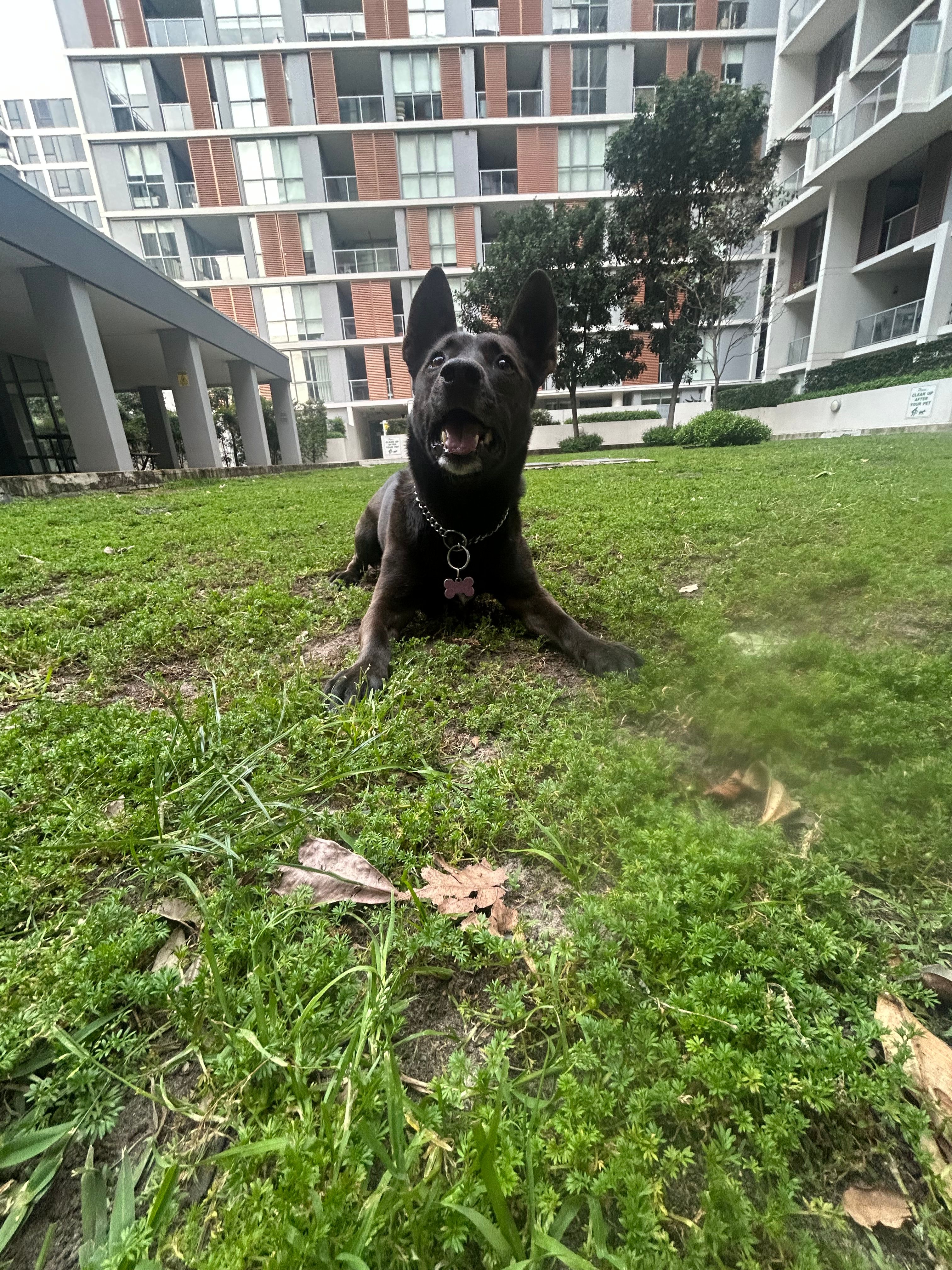 image-18