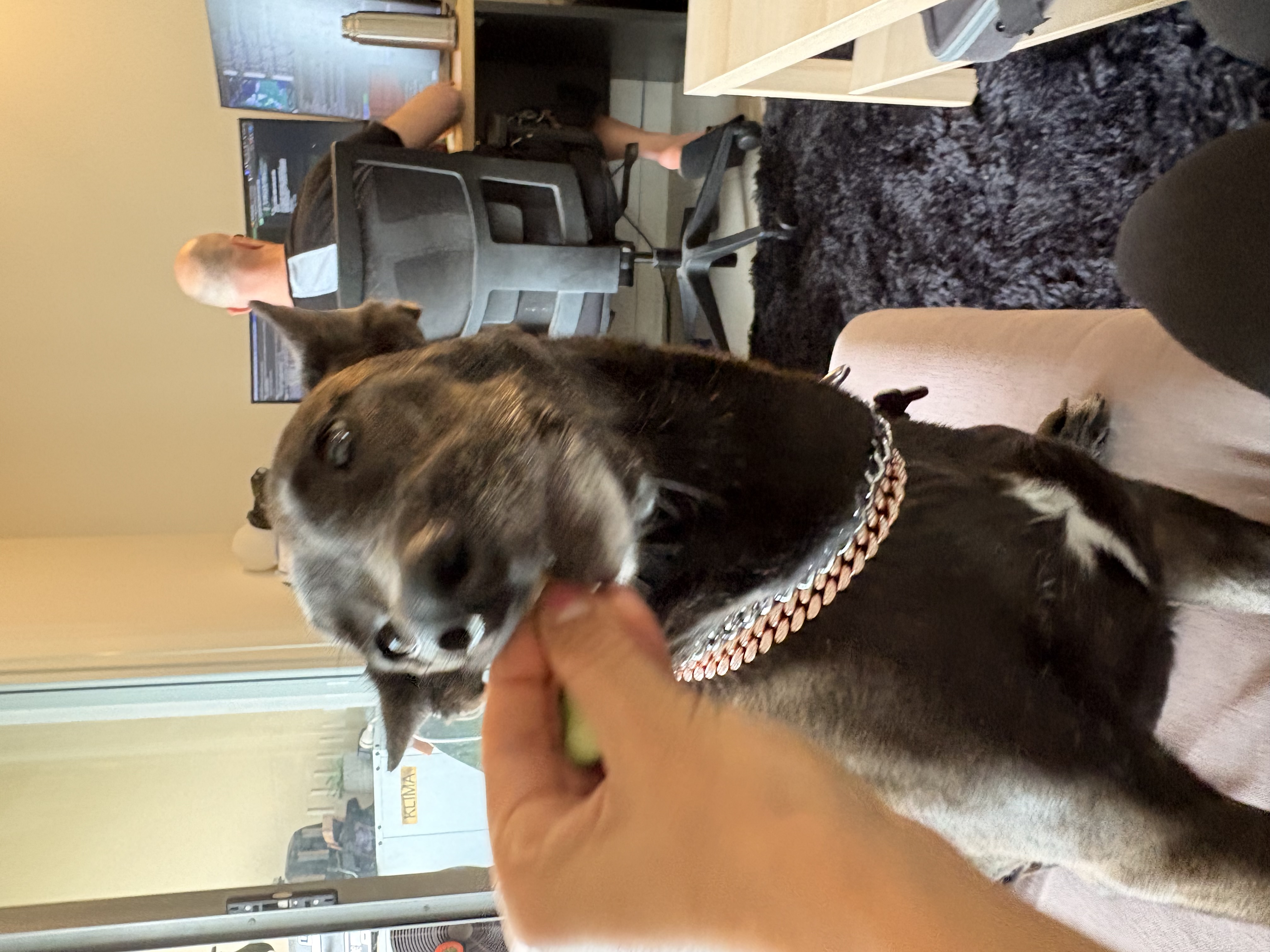 image-7
