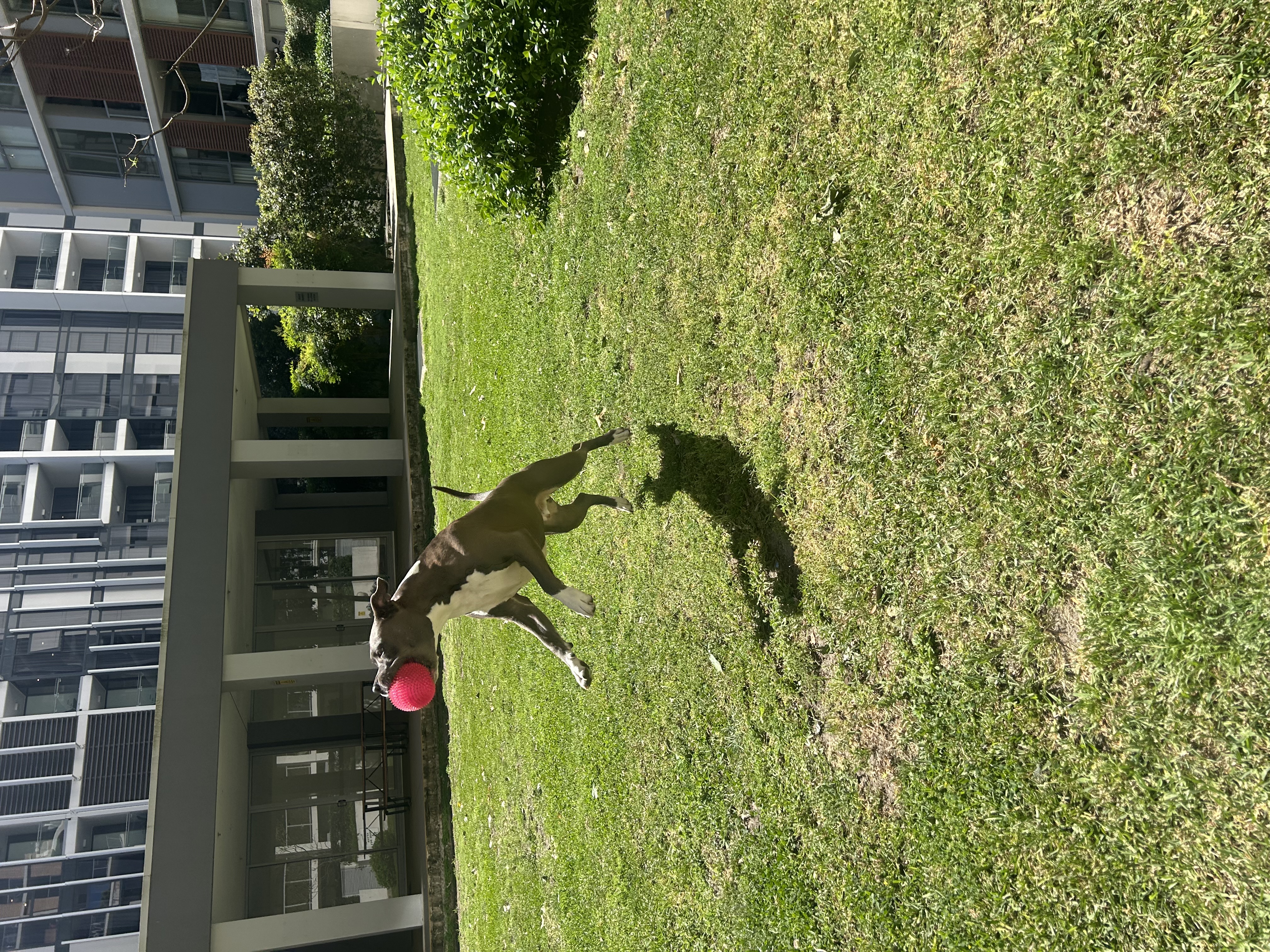 image-17