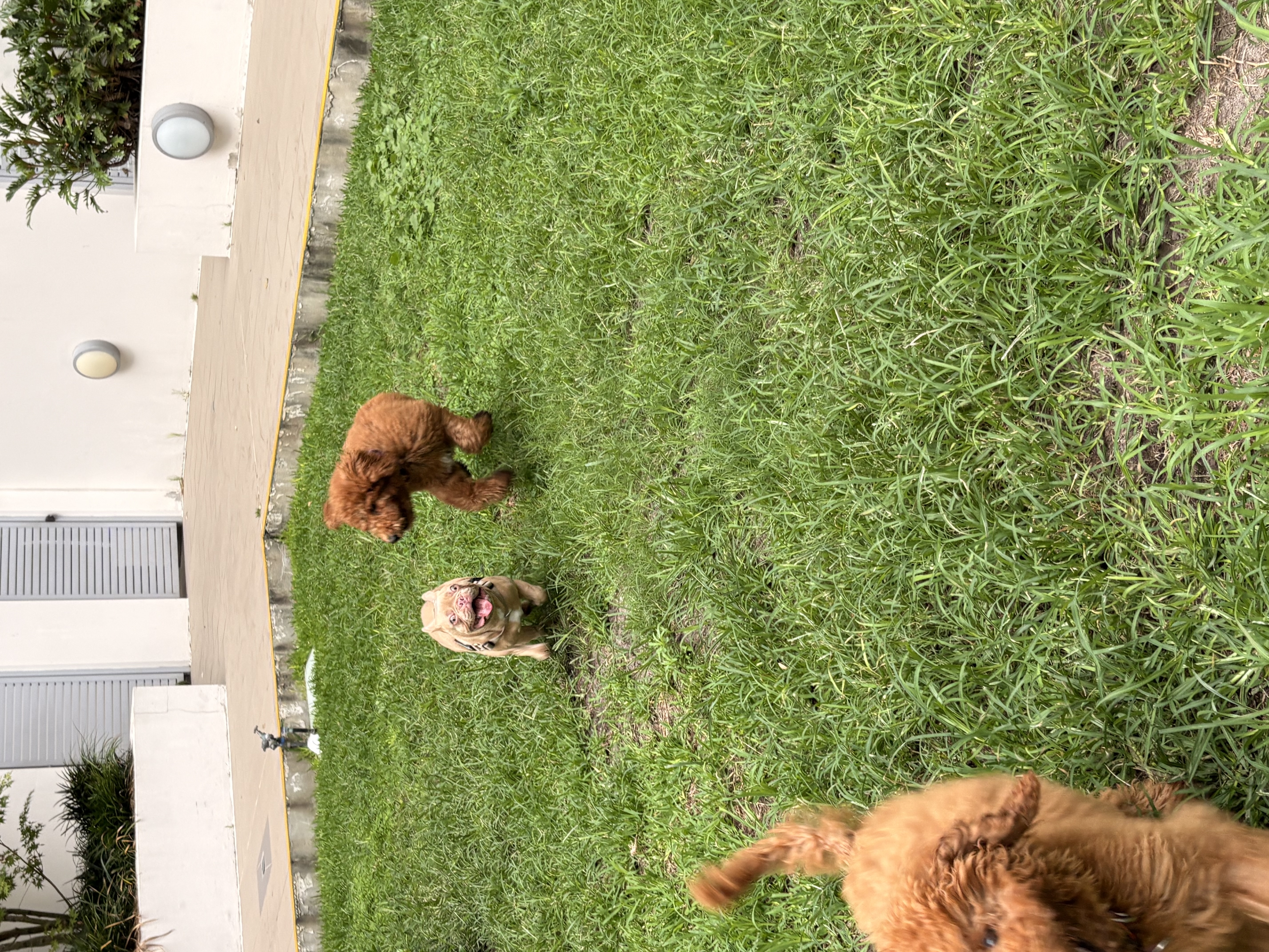 image-13