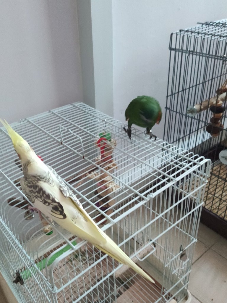 image-3