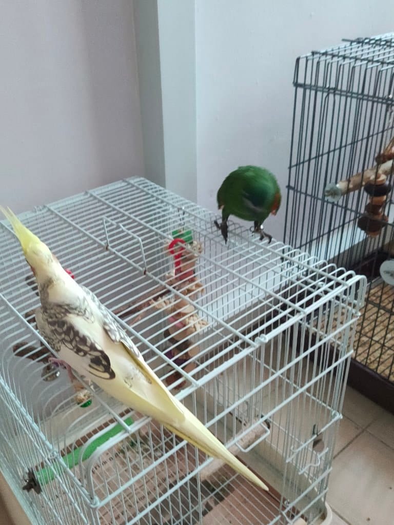 image-3