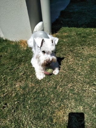 image-42