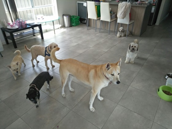 image-28
