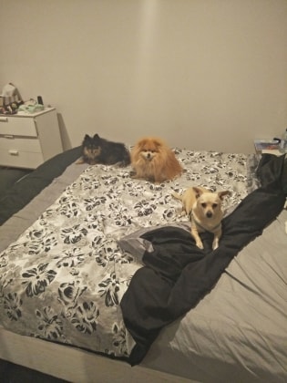 image-12