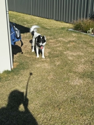 image-7
