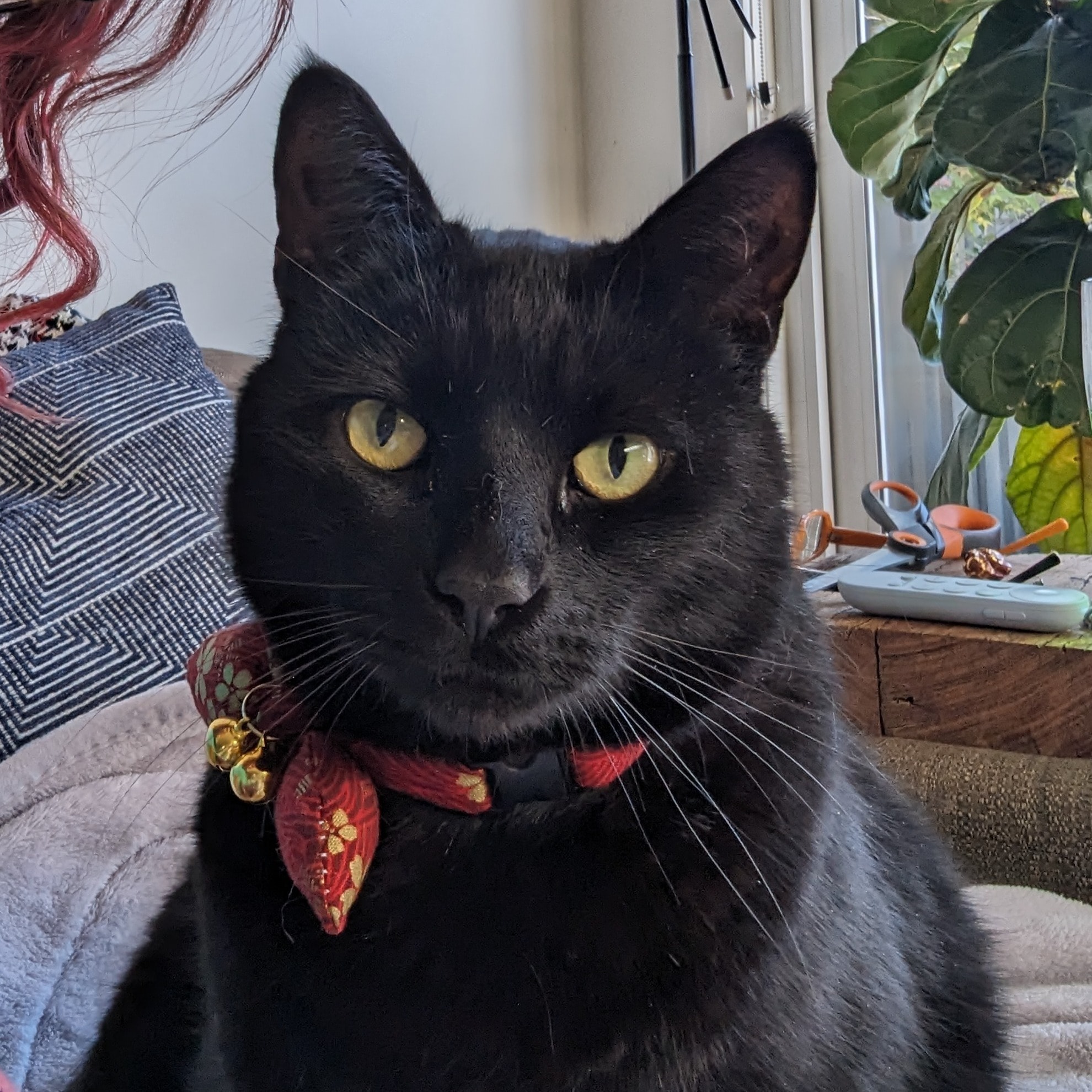 Yukio