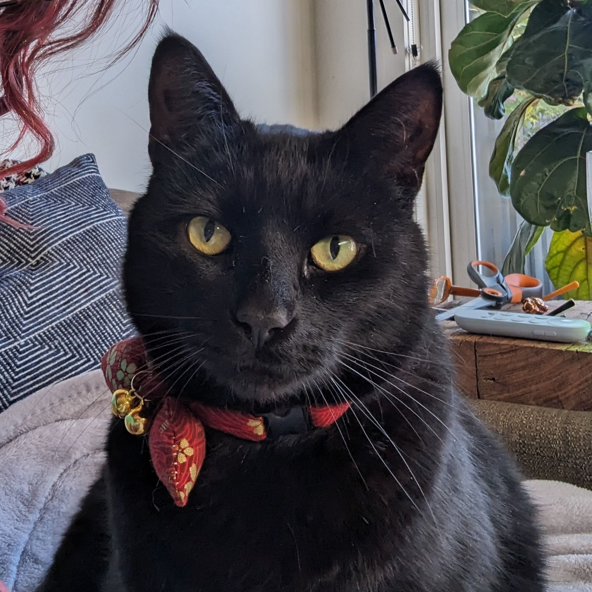 Yukio