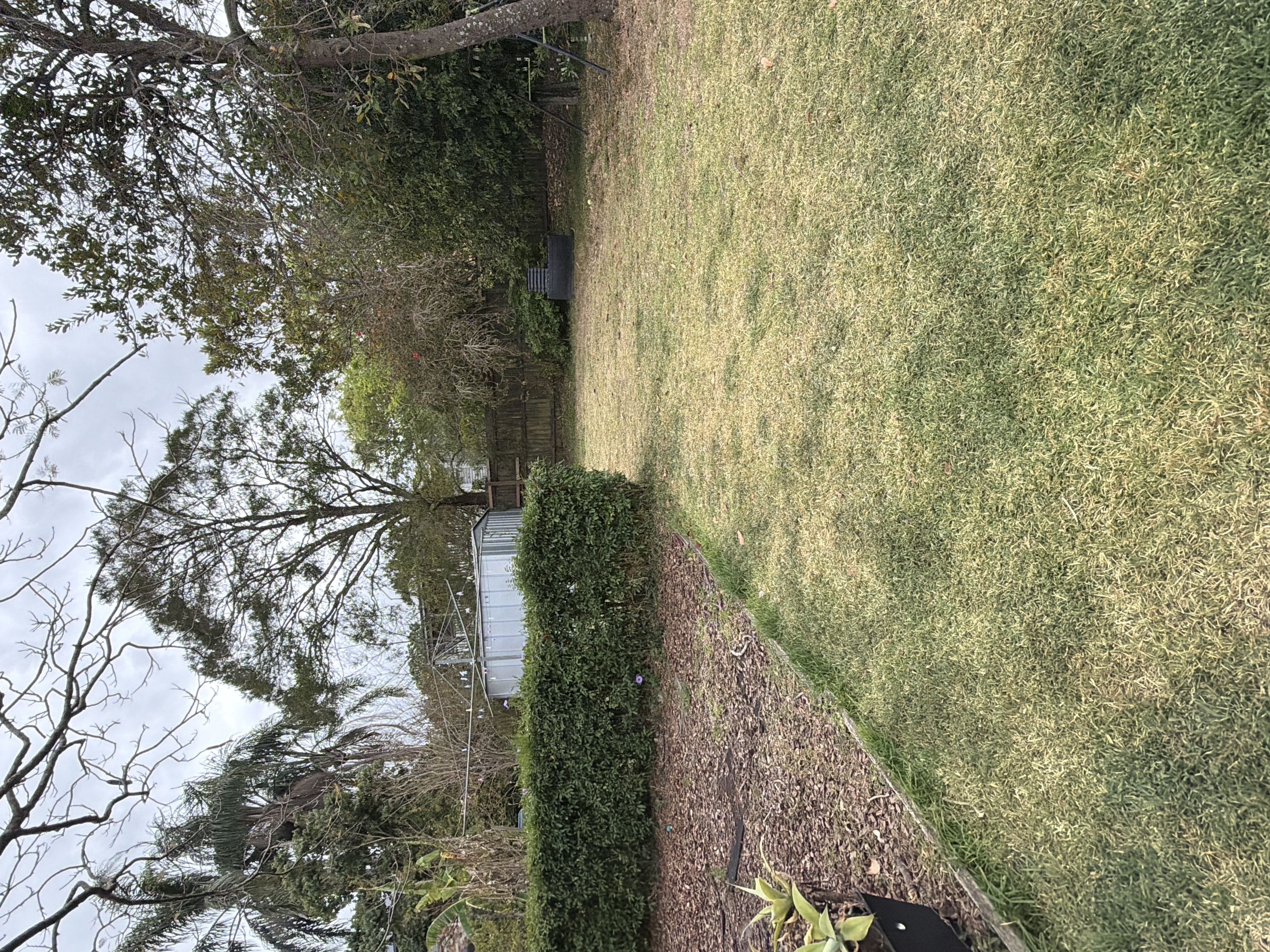 image-20
