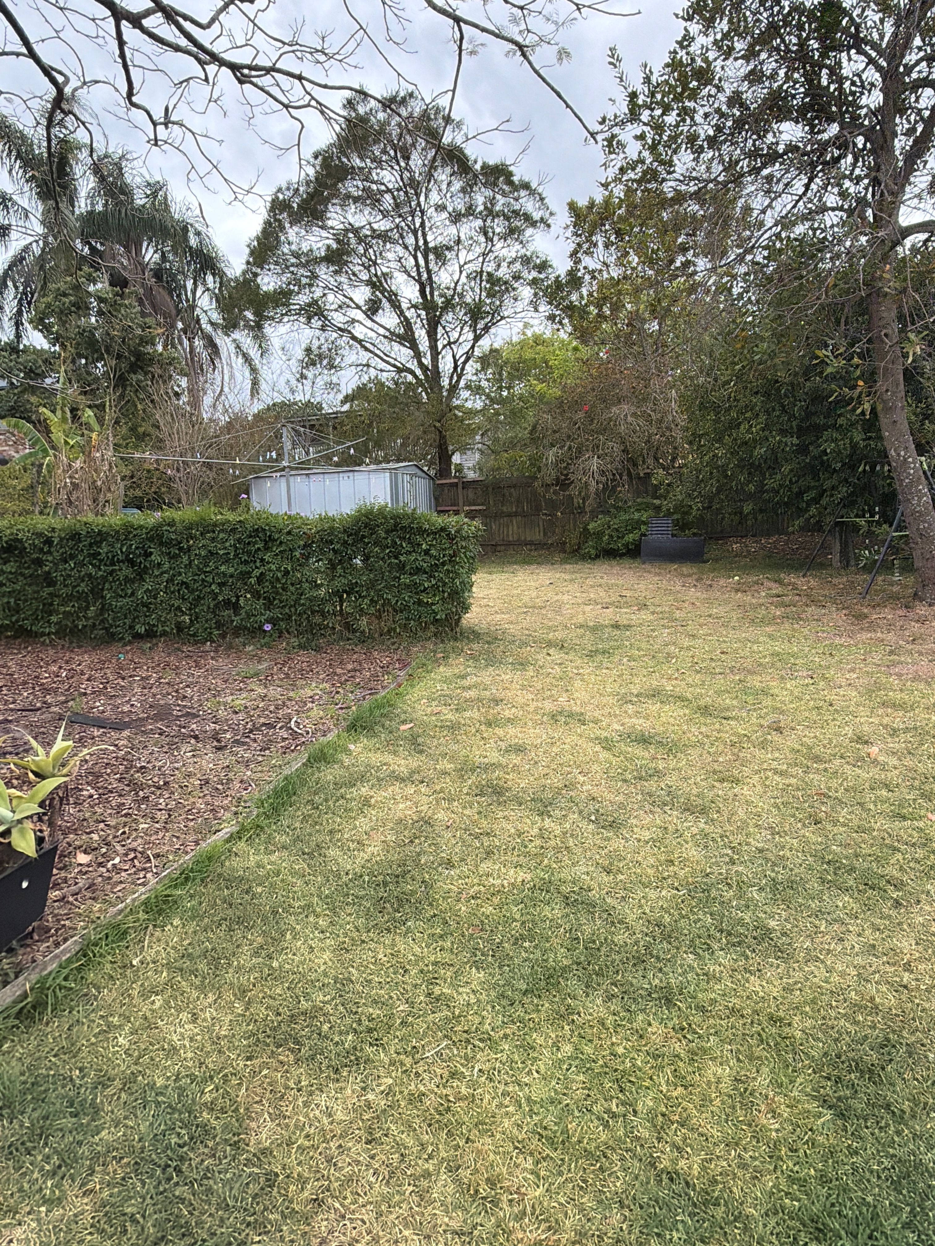 image-20