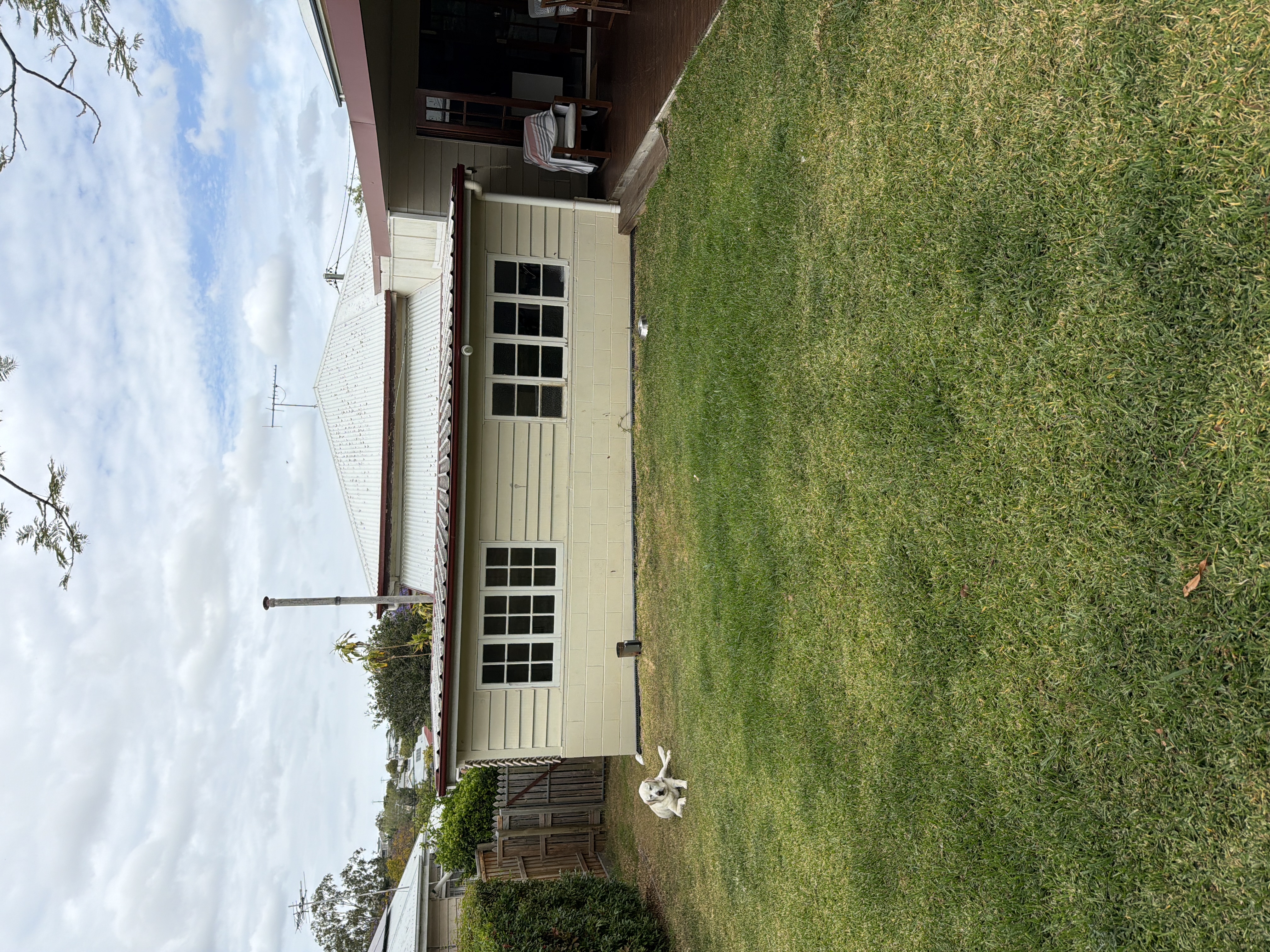 image-19