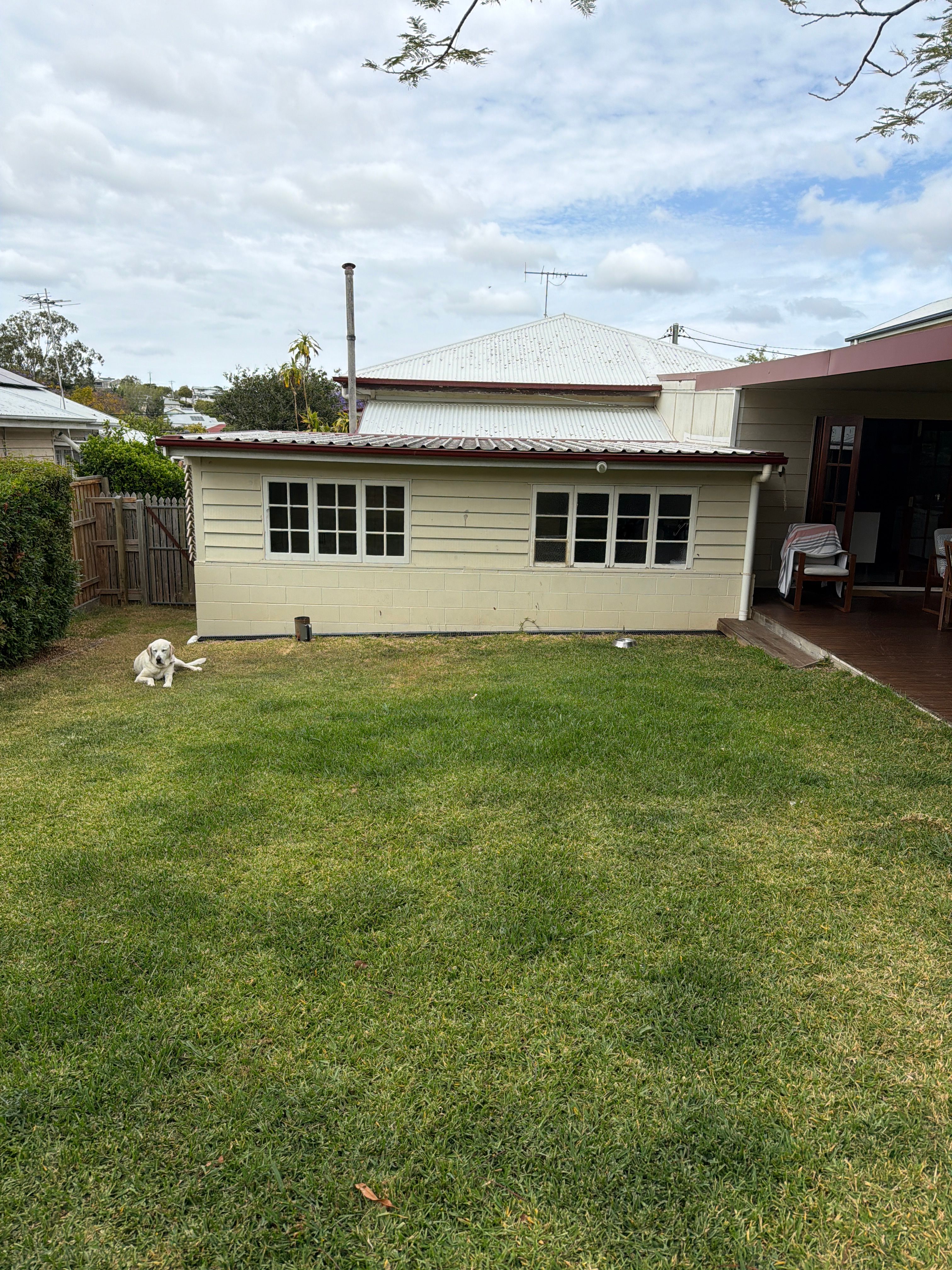 image-19