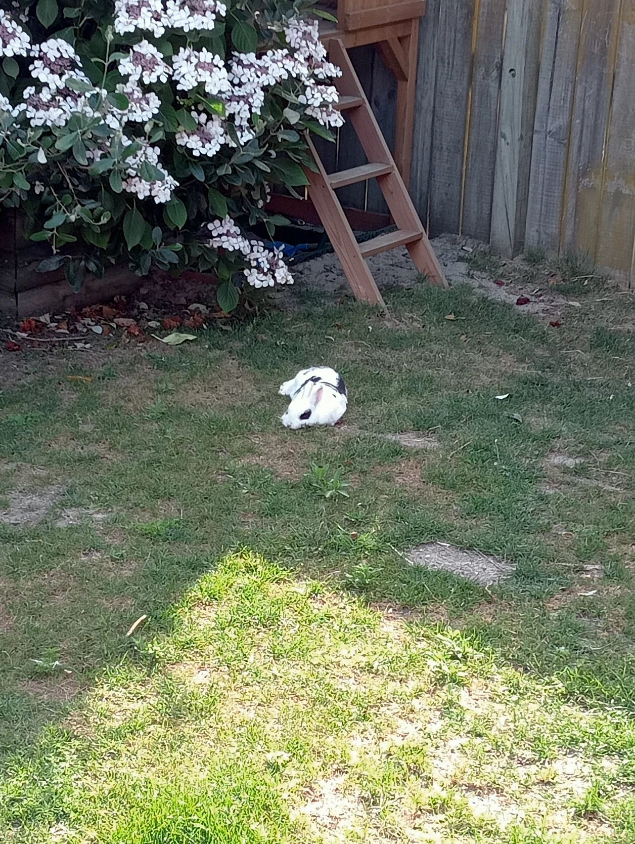 image-18
