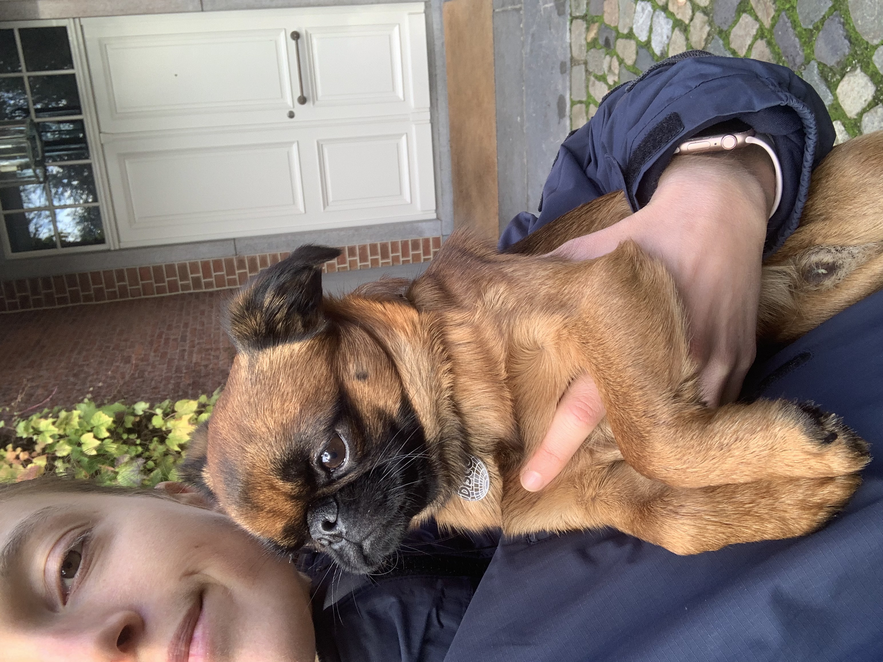 image-9