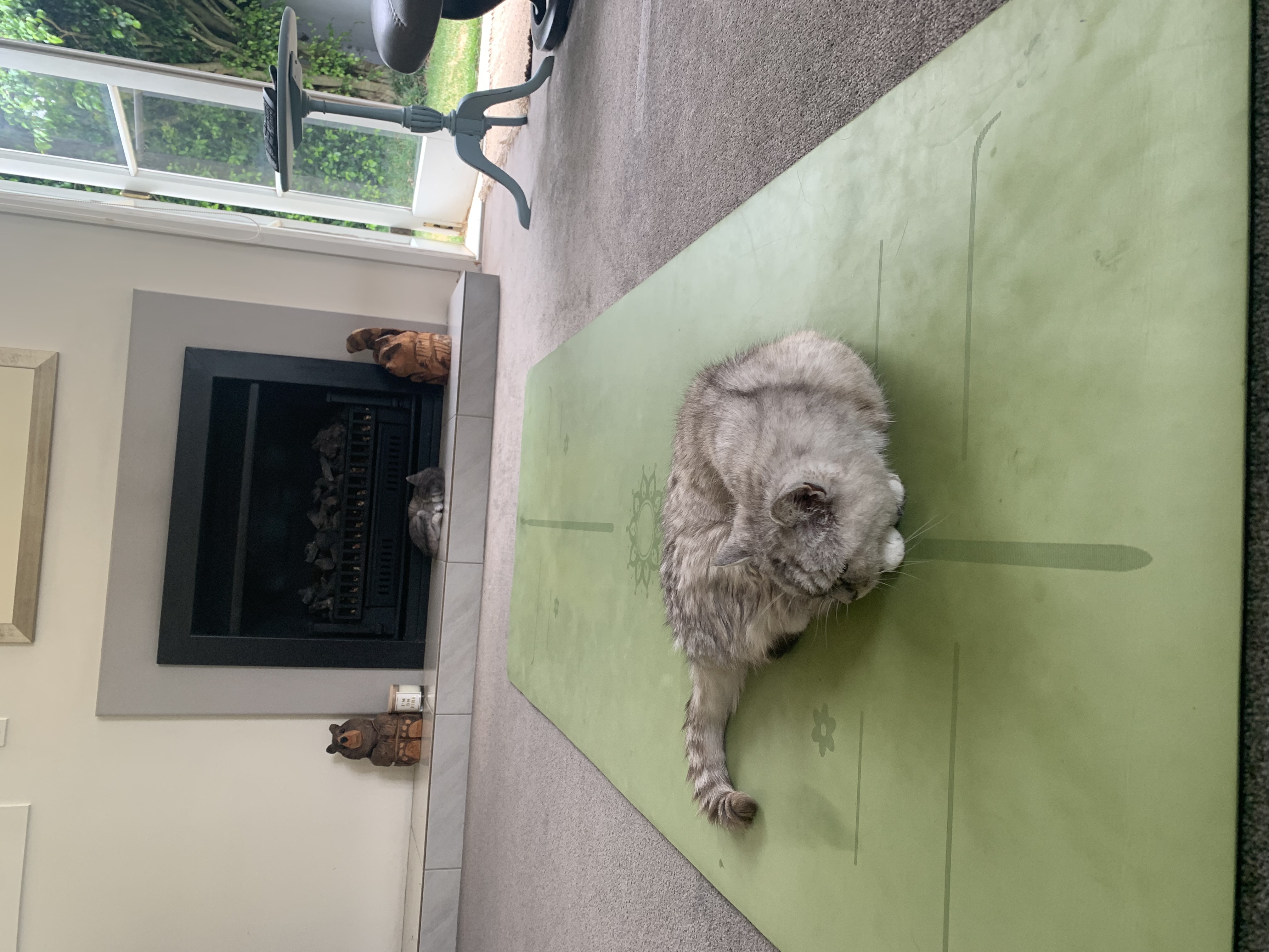 image-16