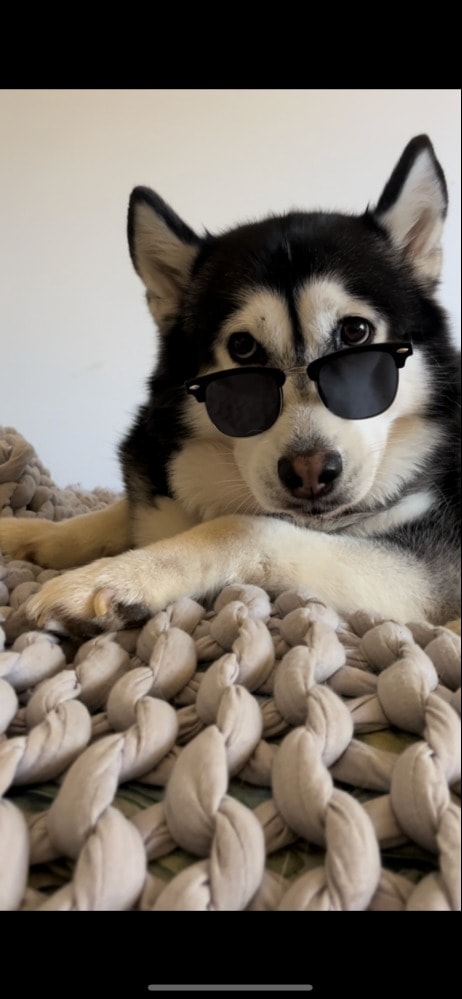 image-17