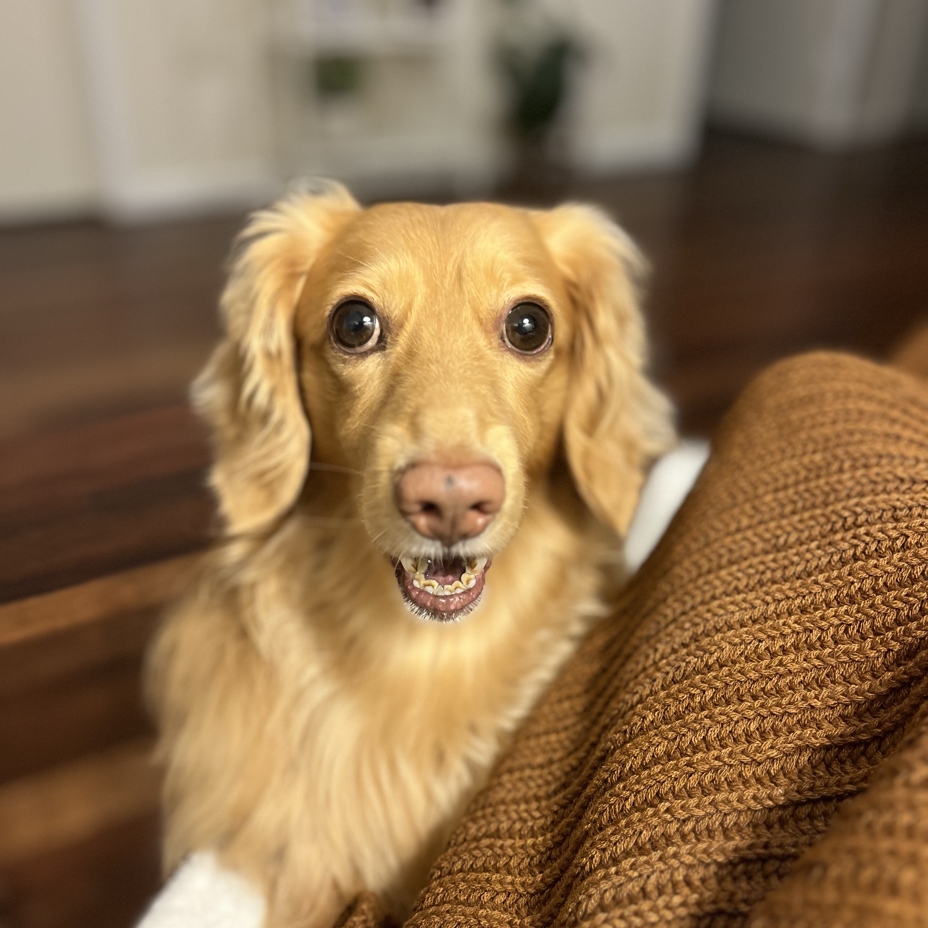 Odin