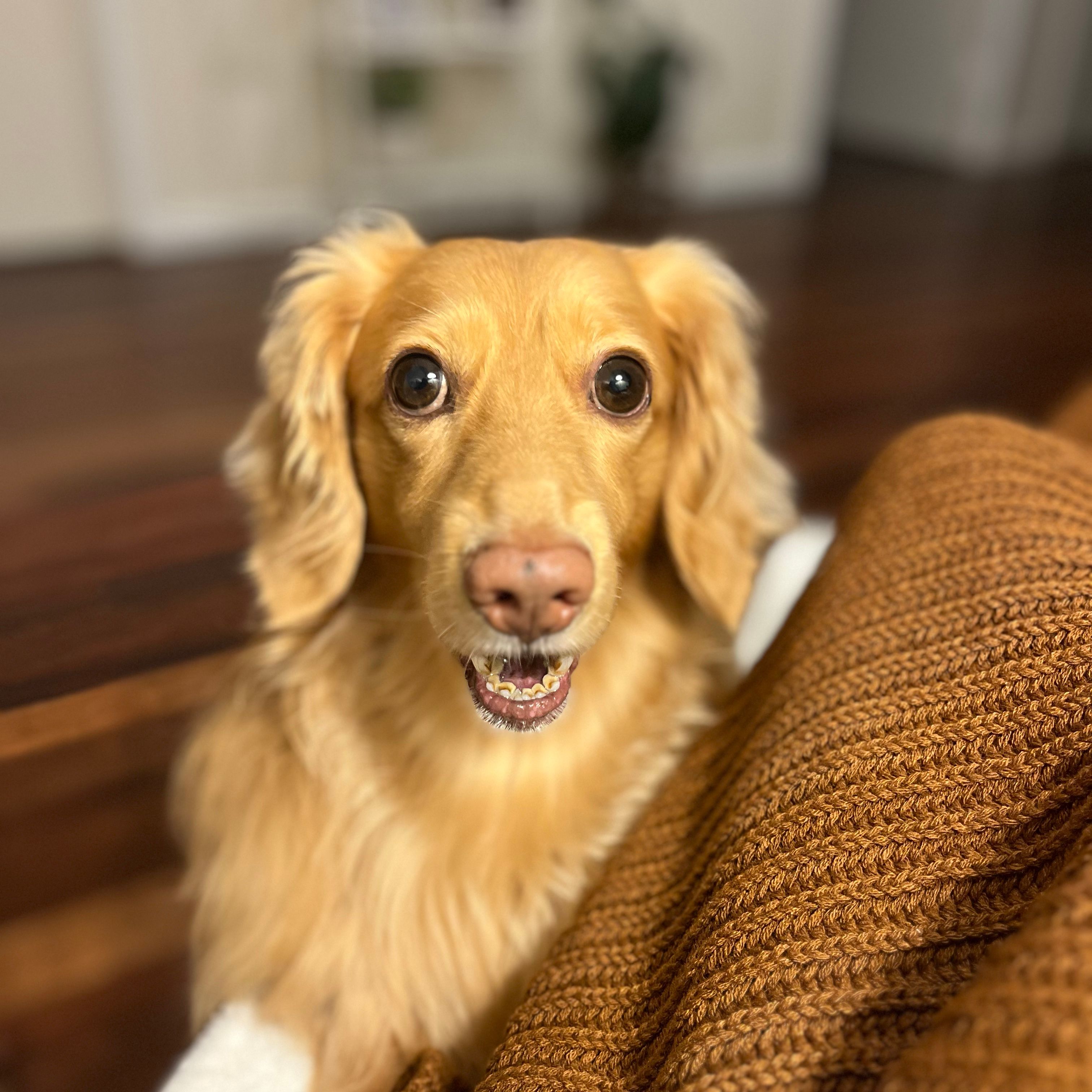 Odin